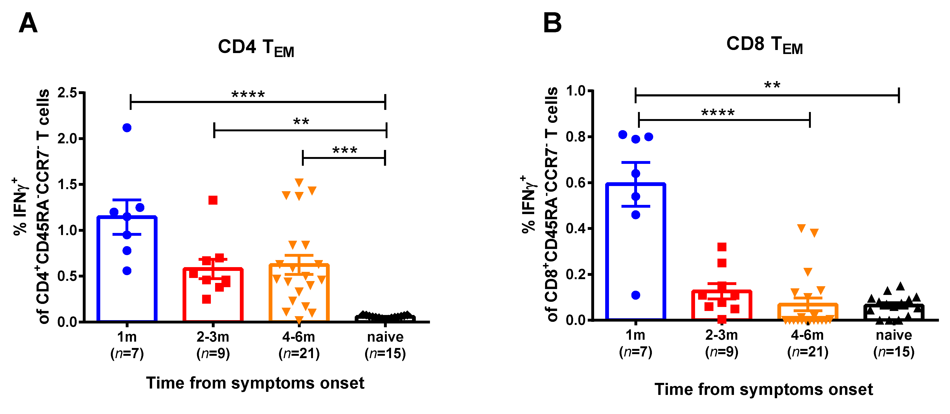 Viruses 13 01490 g002