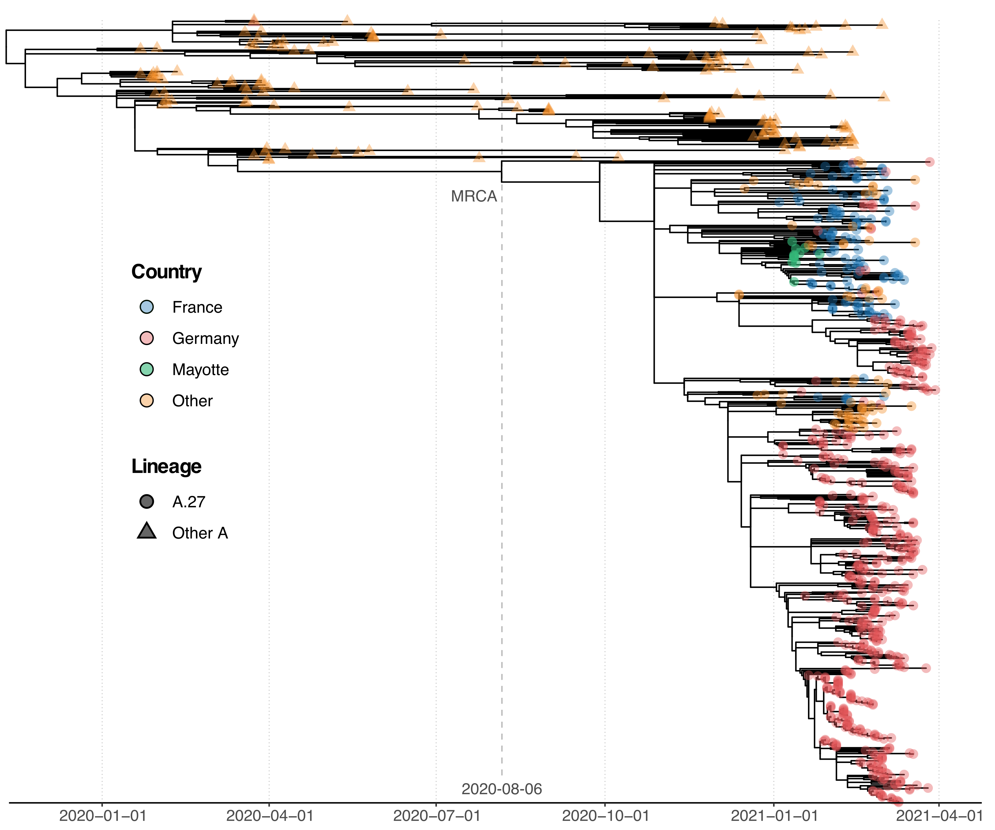 Viruses 13 01491 g002