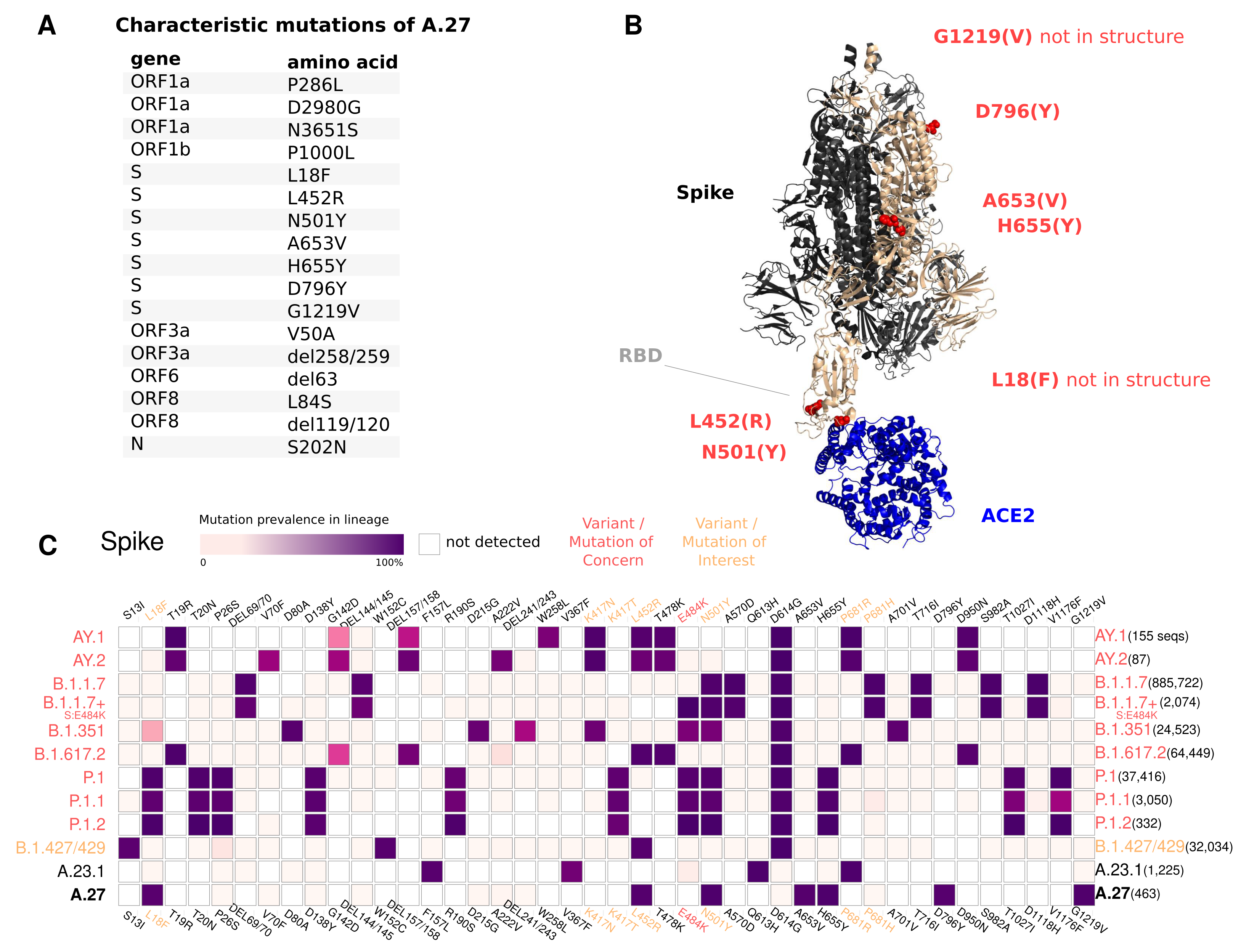 Viruses 13 01491 g003