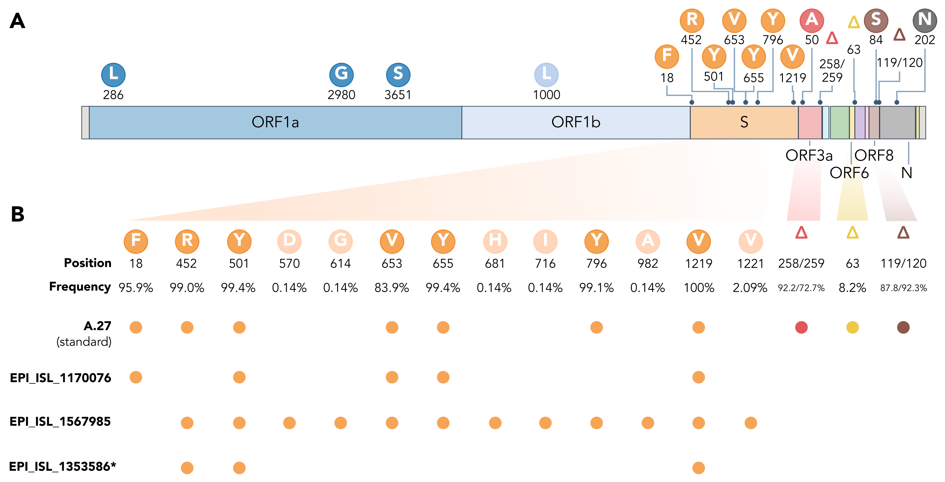 Viruses 13 01491 g004