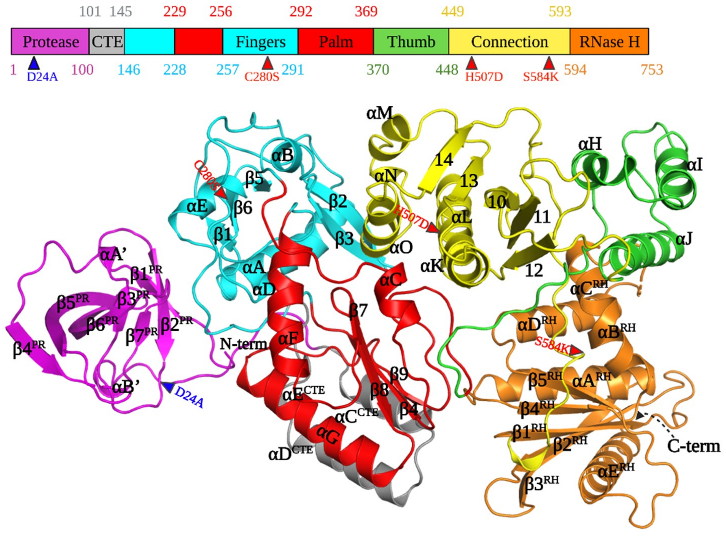 Viruses 13 01495 g001