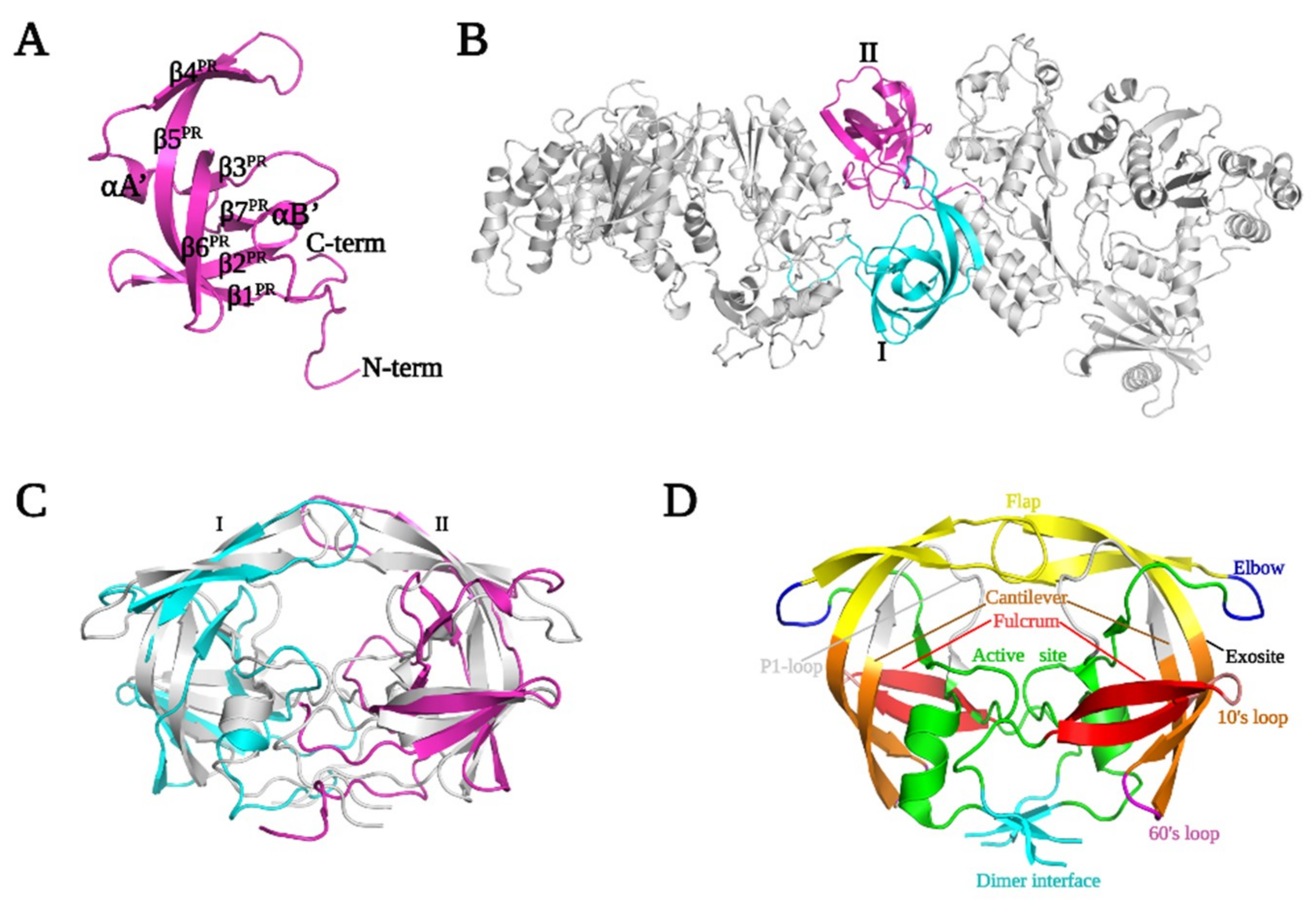 Viruses 13 01495 g002