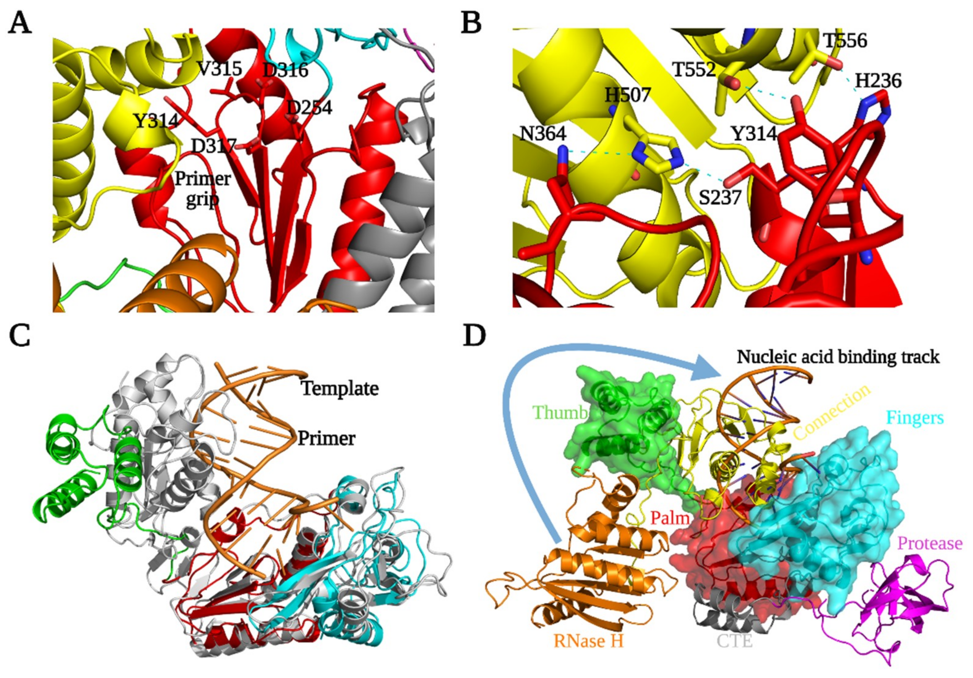 Viruses 13 01495 g004