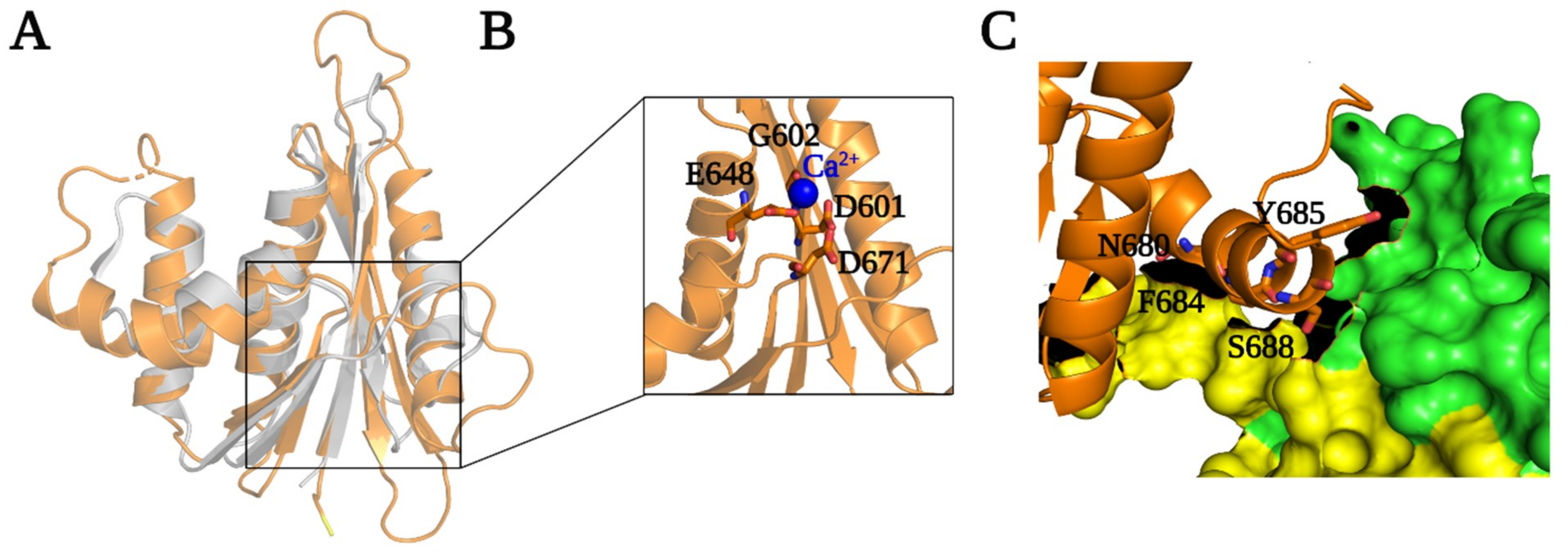 Viruses 13 01495 g005