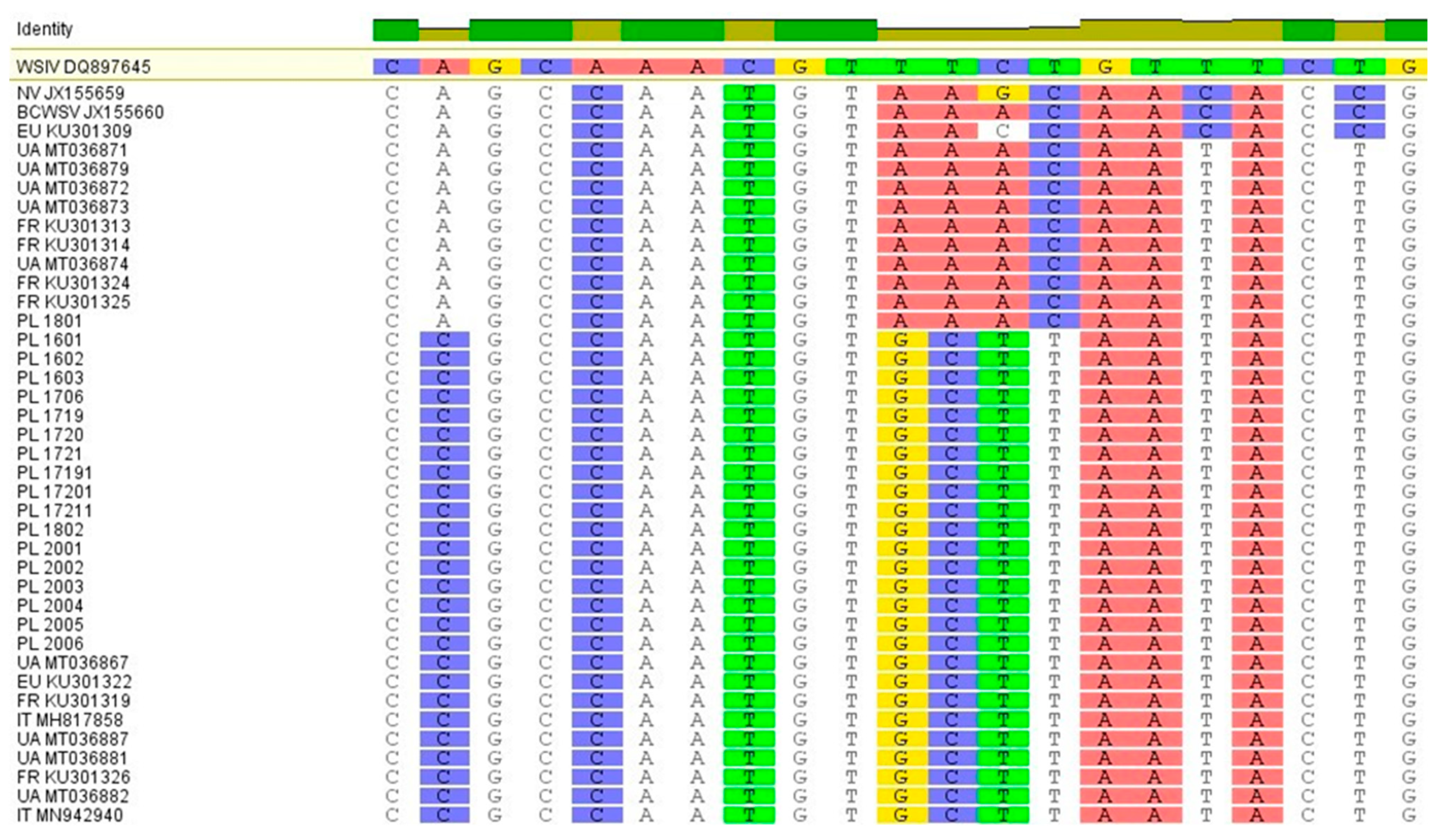Viruses 13 01496 g004 Viruses 13 01496 g004
