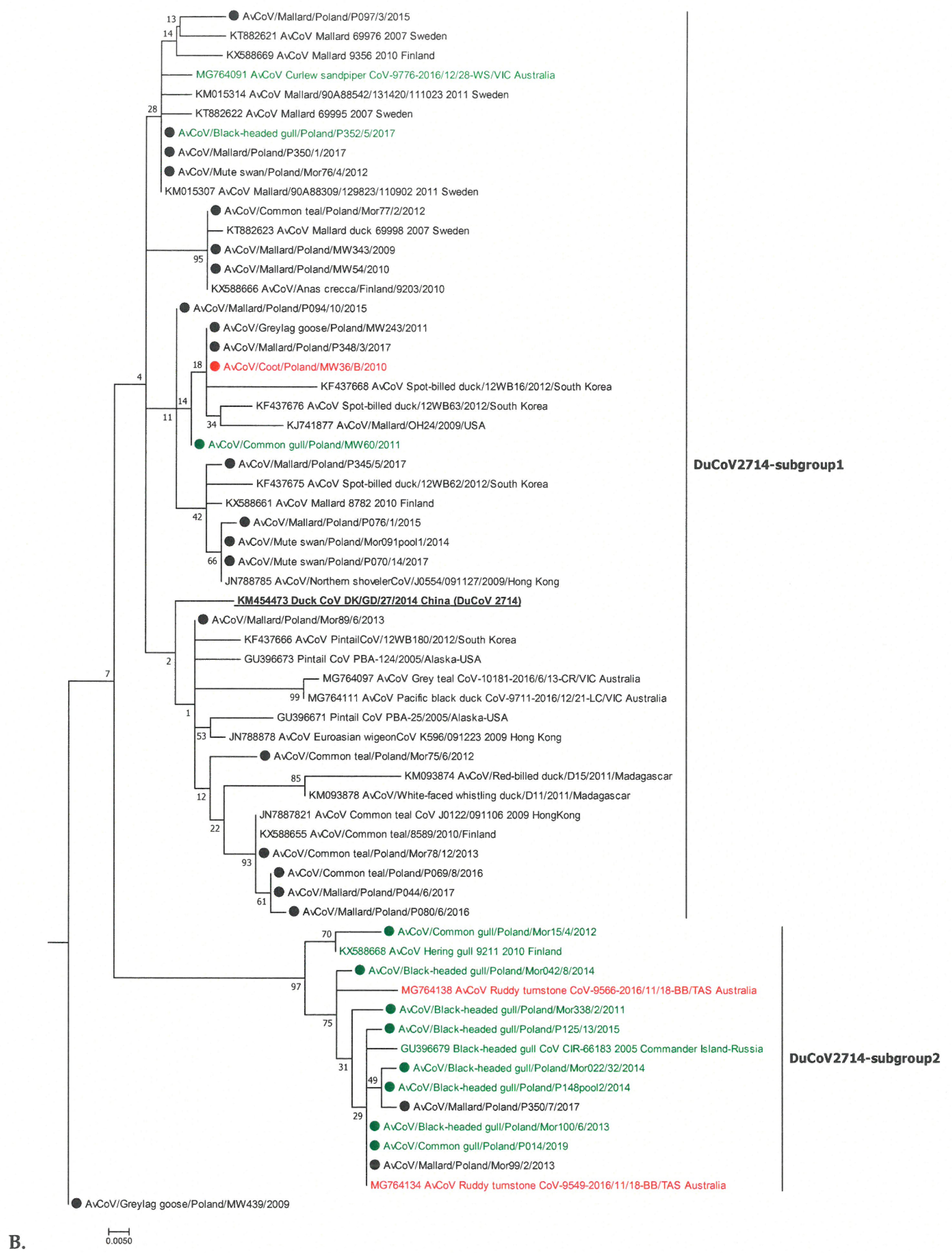 Viruses 13 01497 g001b Viruses 13 01497 g001b