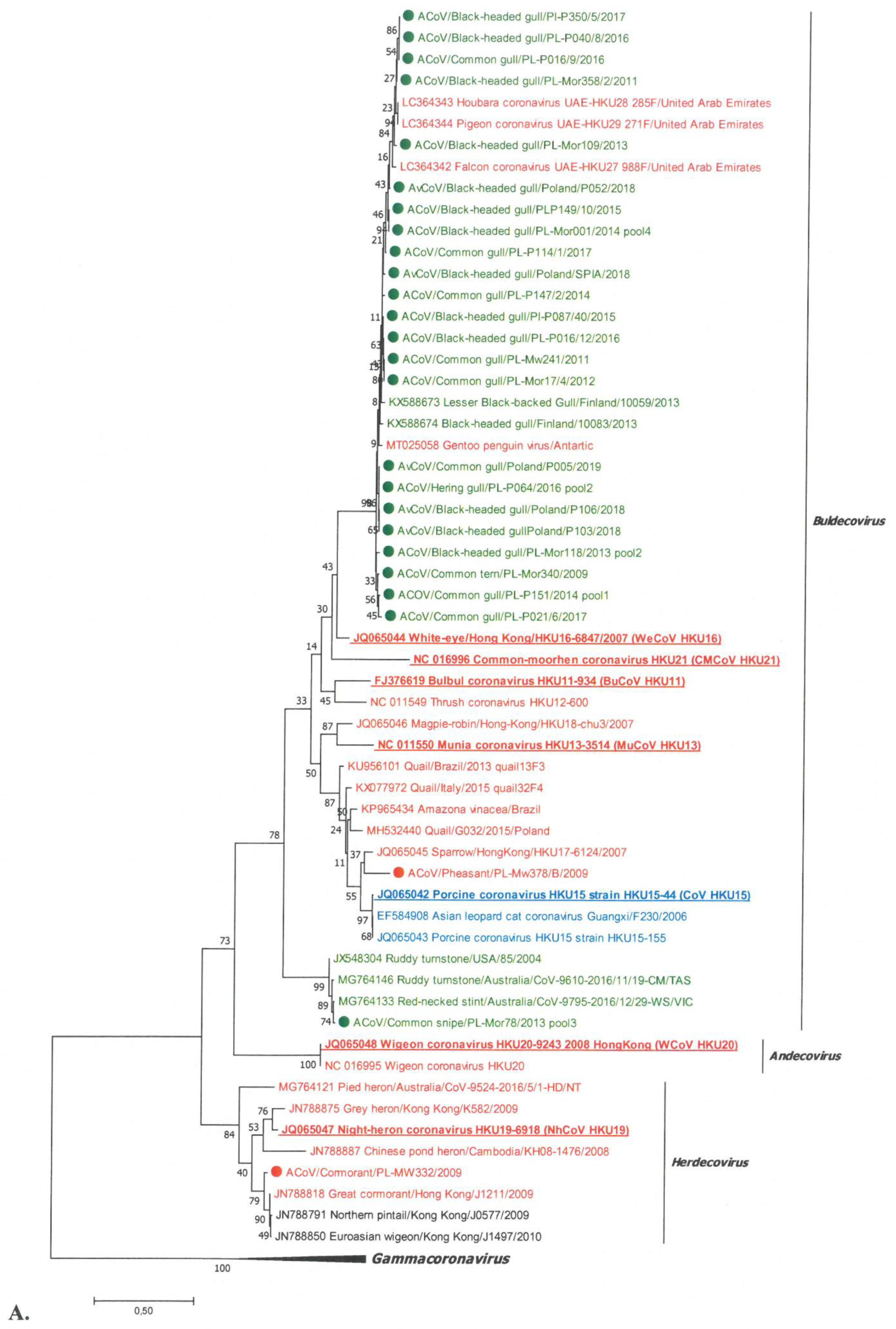 Viruses 13 01497 g002a Viruses 13 01497 g002a
