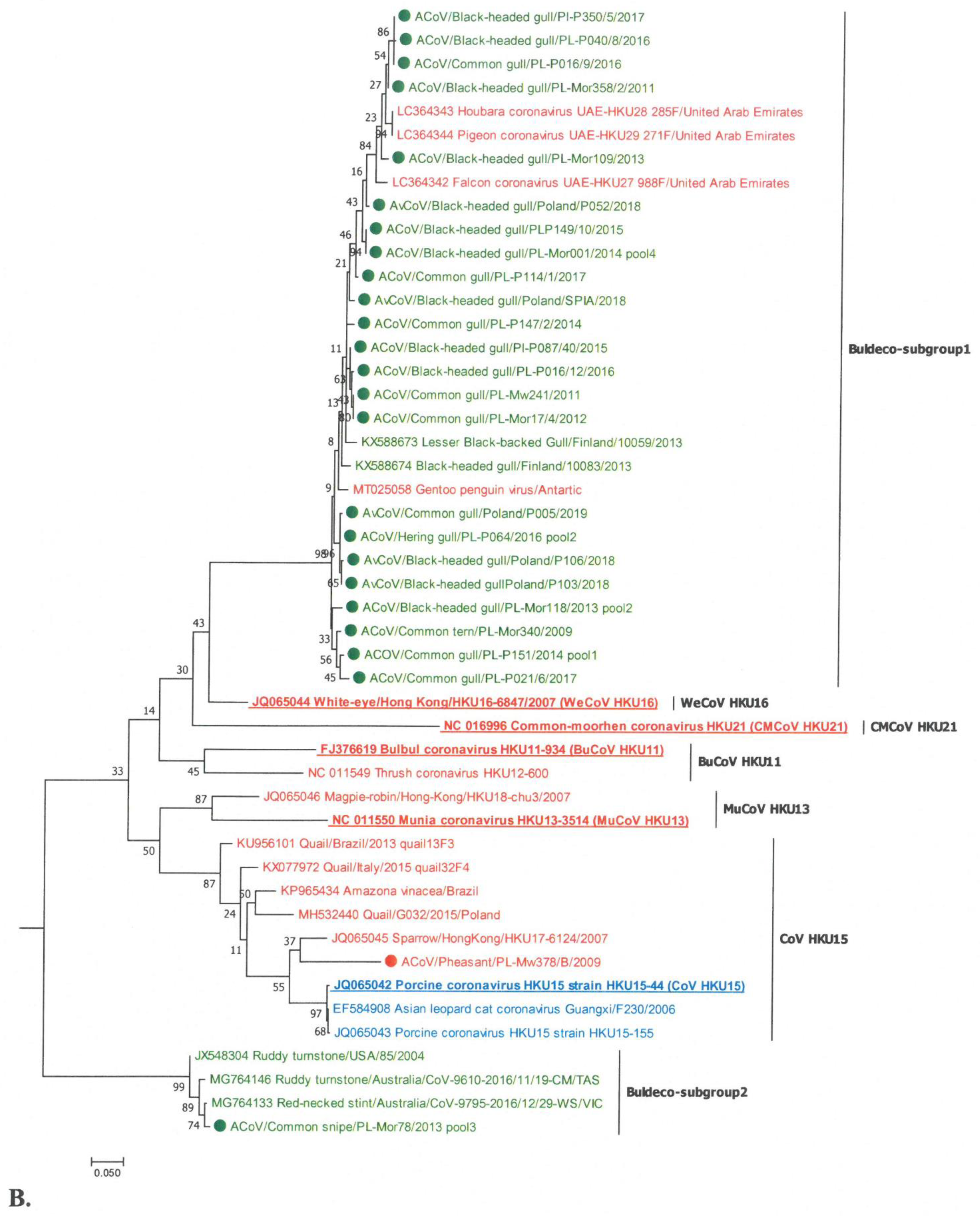 Viruses 13 01497 g002b Viruses 13 01497 g002b
