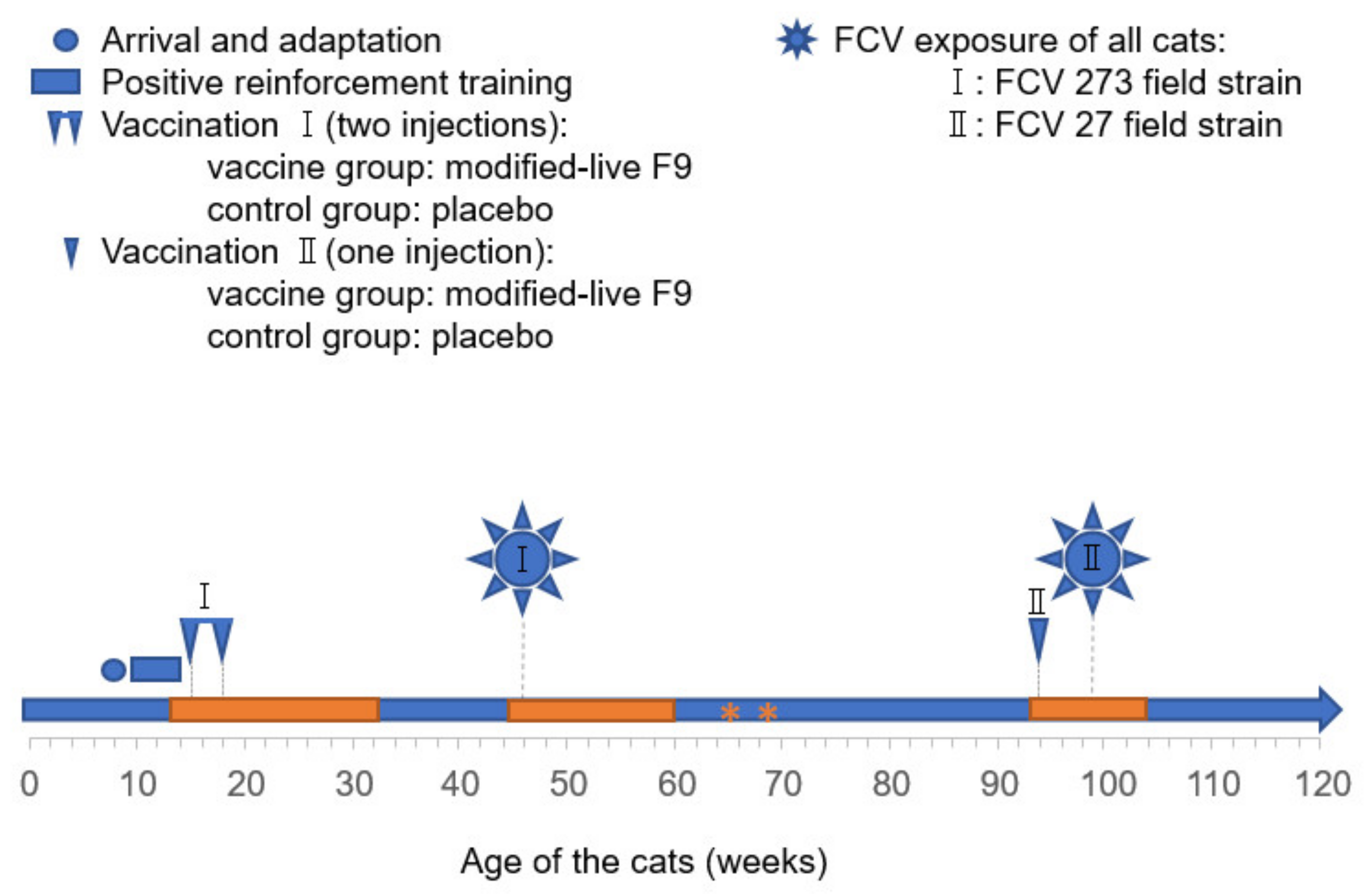 Viruses 13 01505 g001