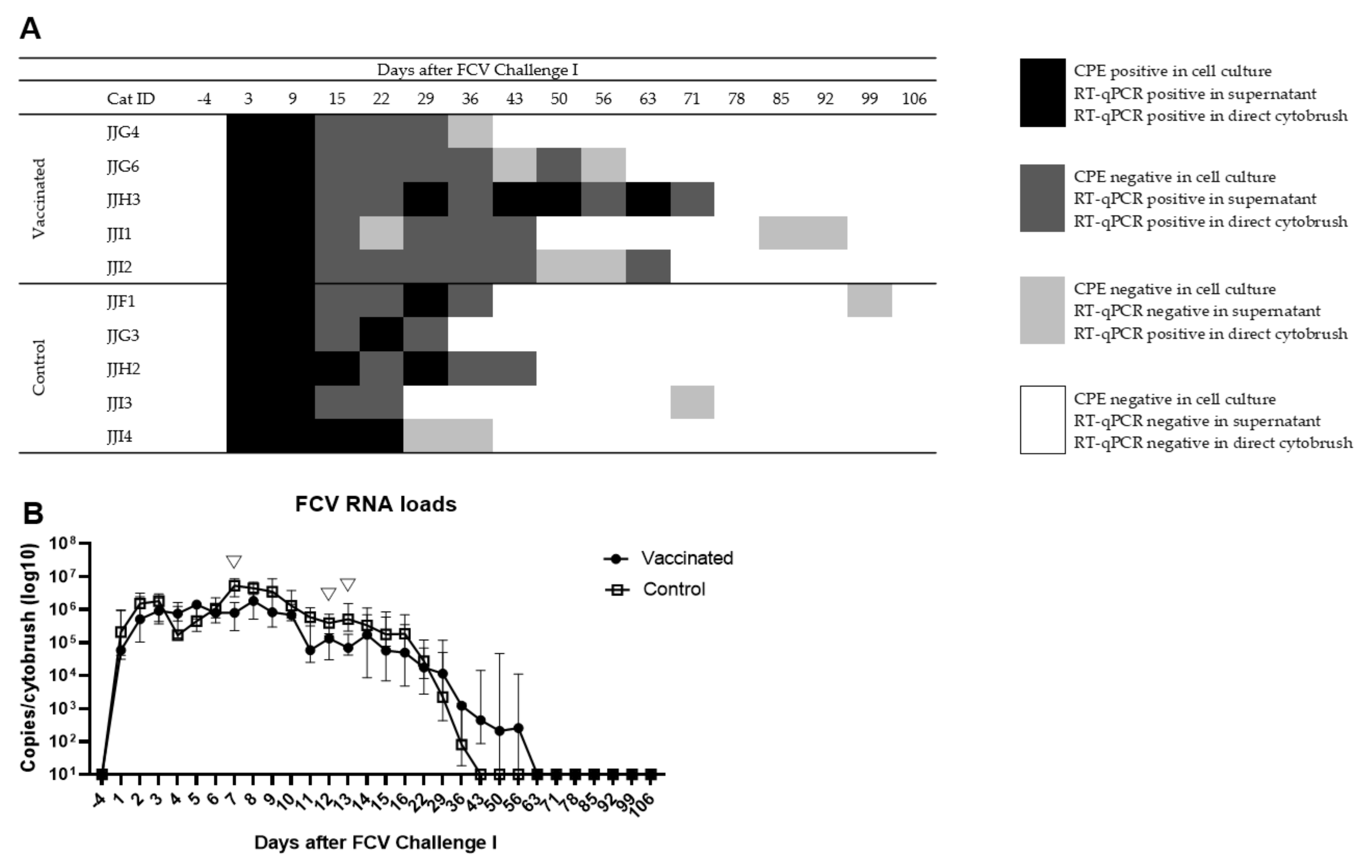 Viruses 13 01505 g004