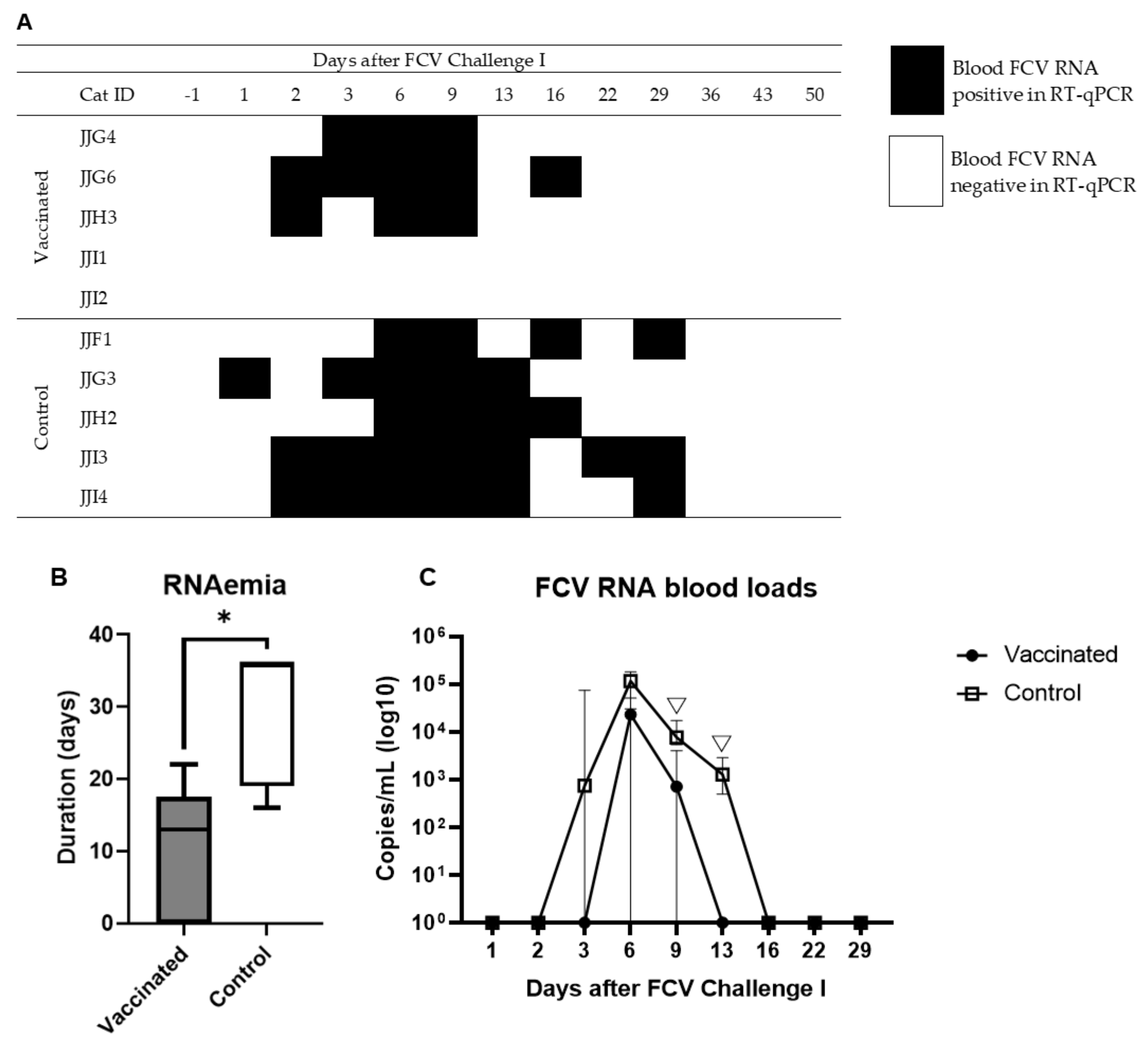 Viruses 13 01505 g005