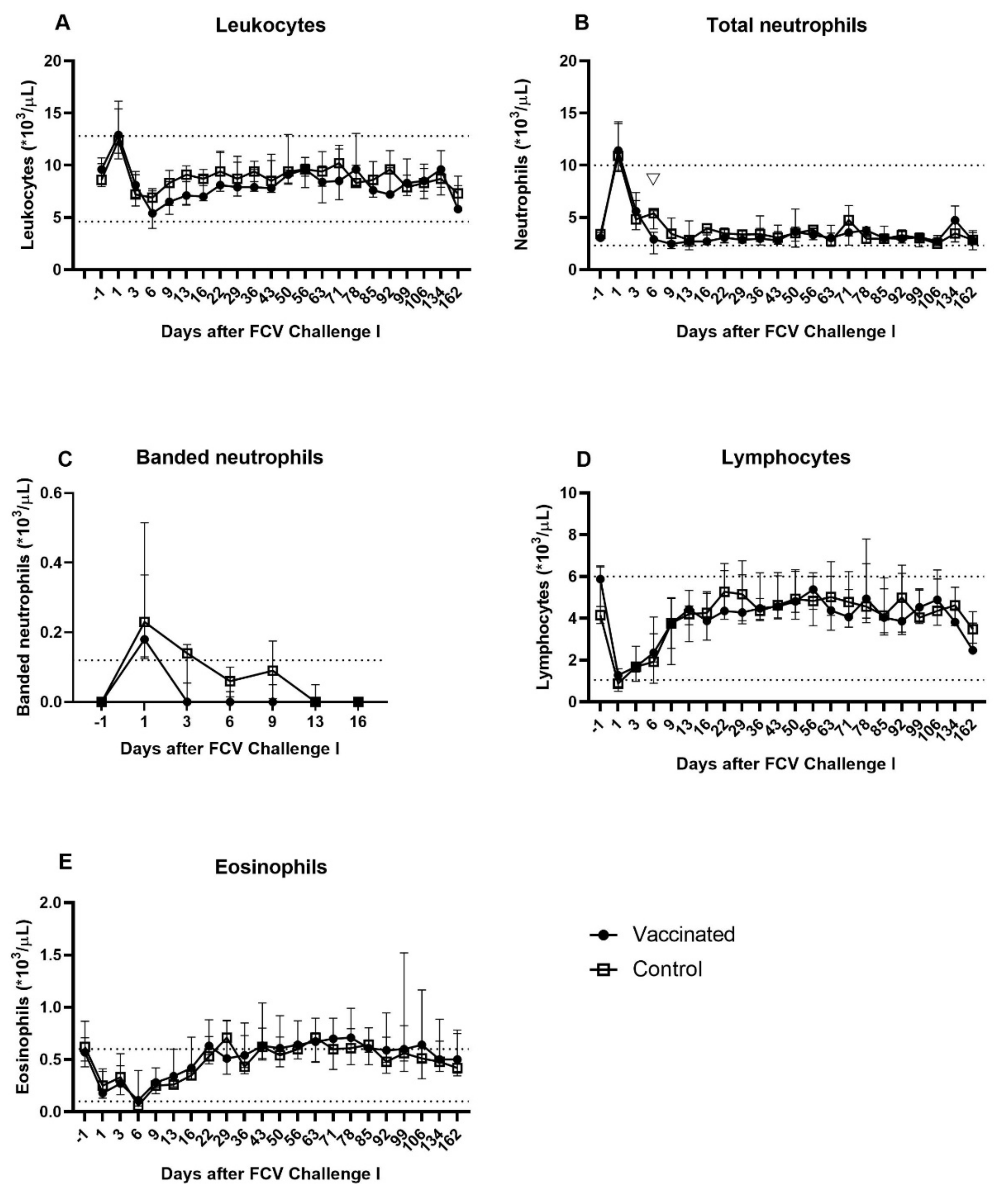 Viruses 13 01505 g006