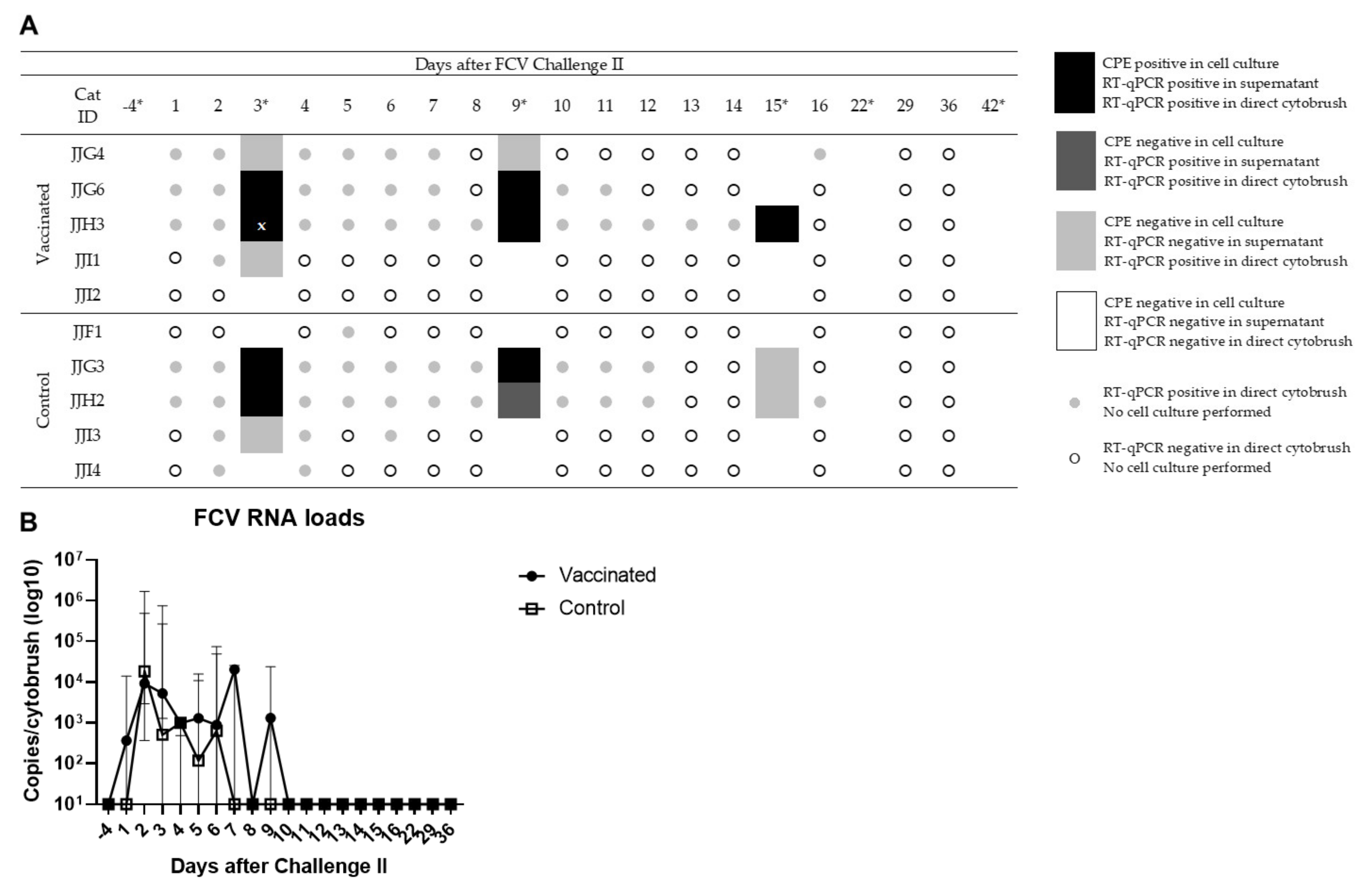 Viruses 13 01505 g008