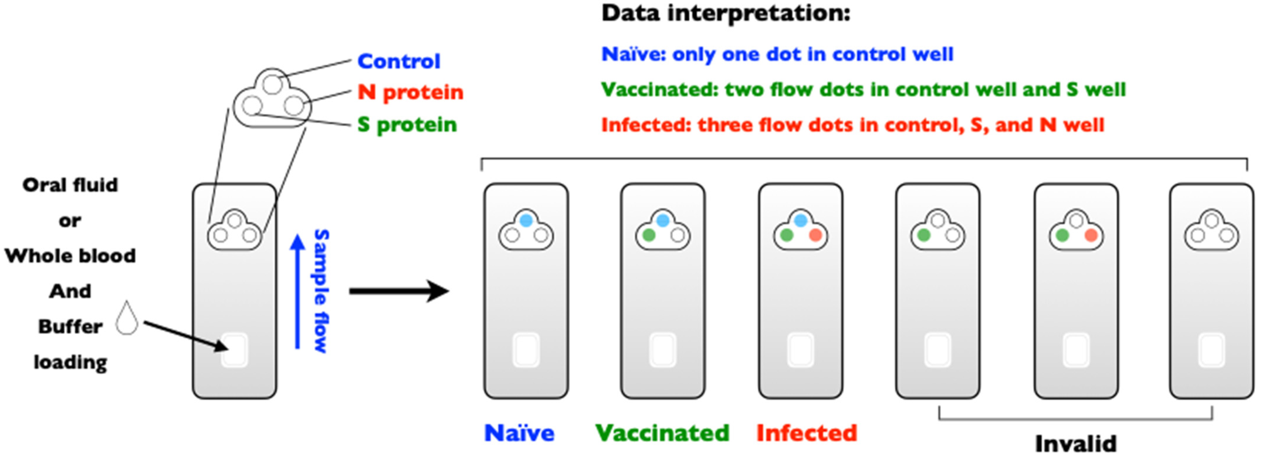 Viruses 13 01507 g002