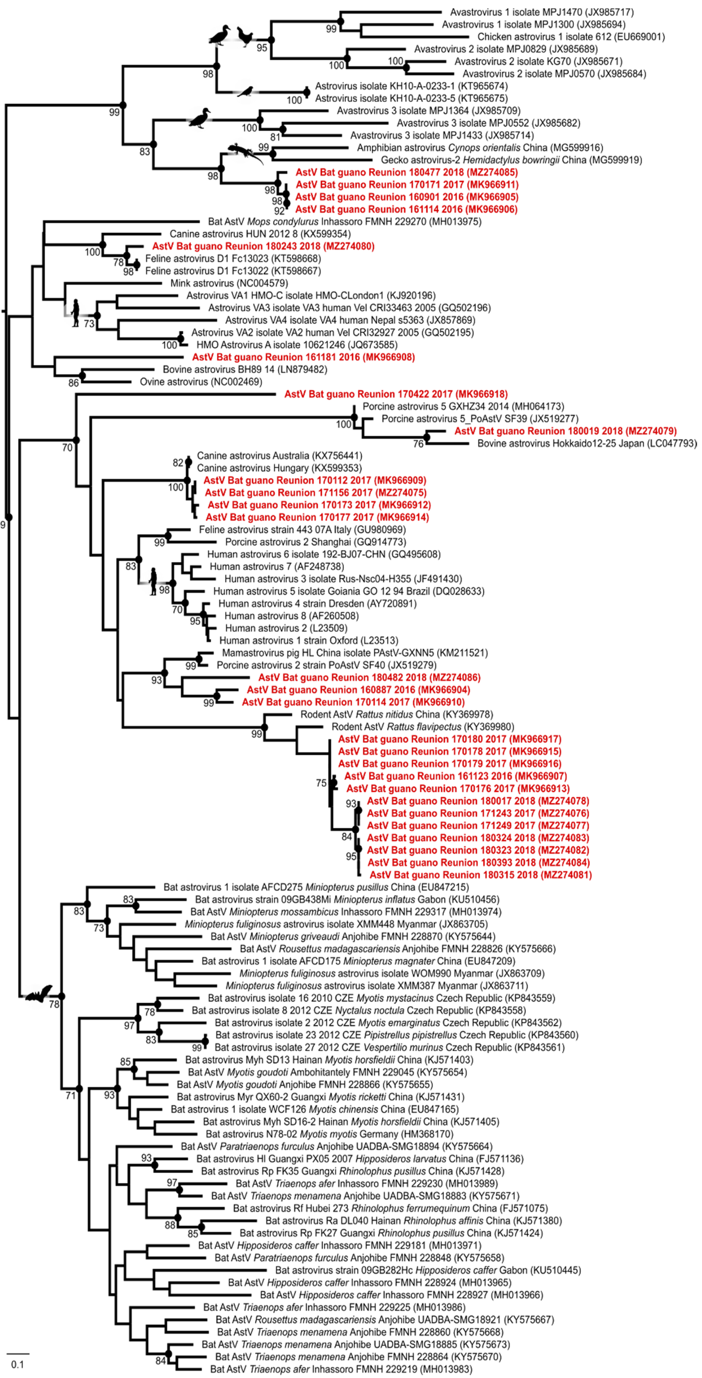 Viruses 13 01524 g002