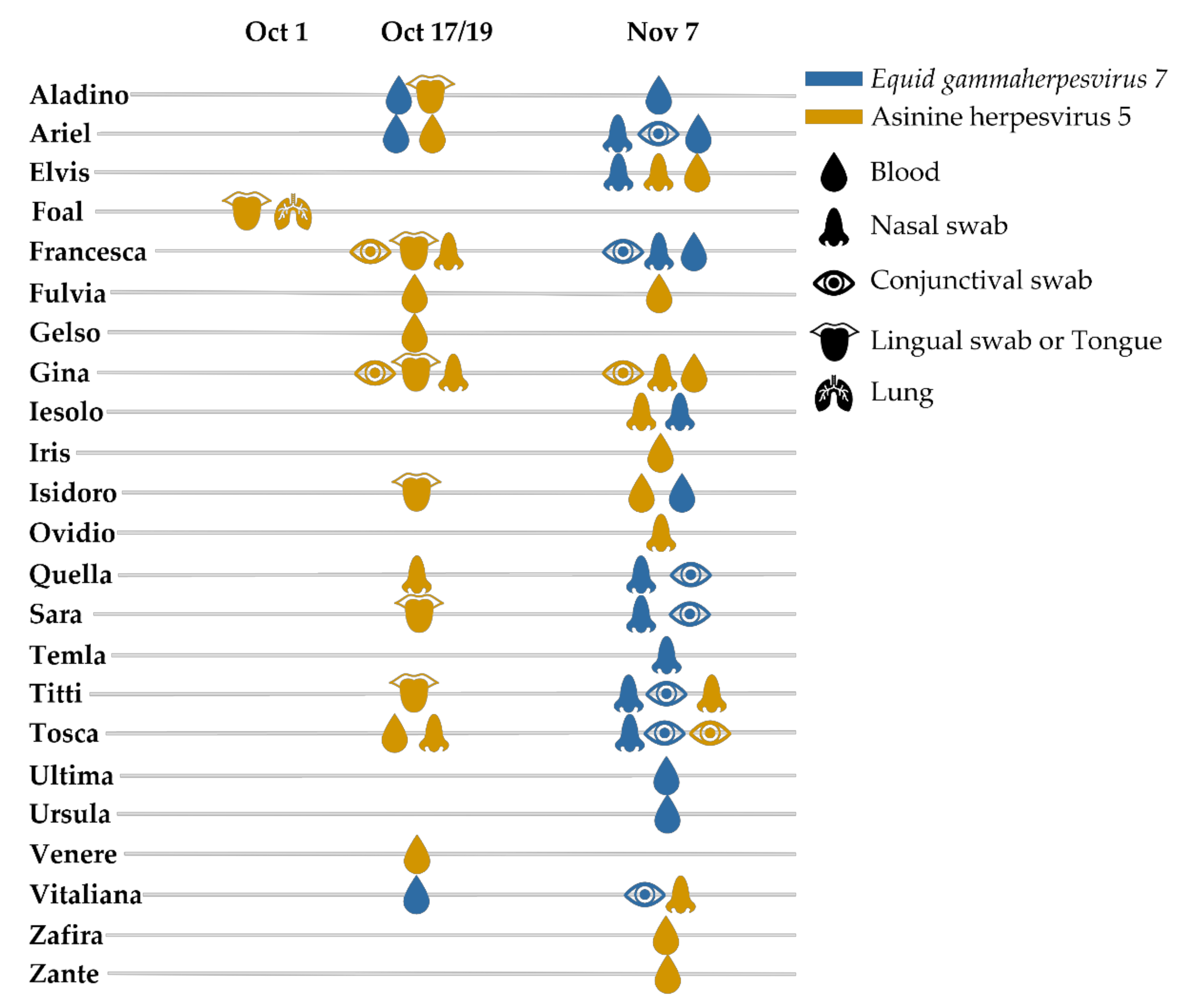 Viruses 13 01527 g002
