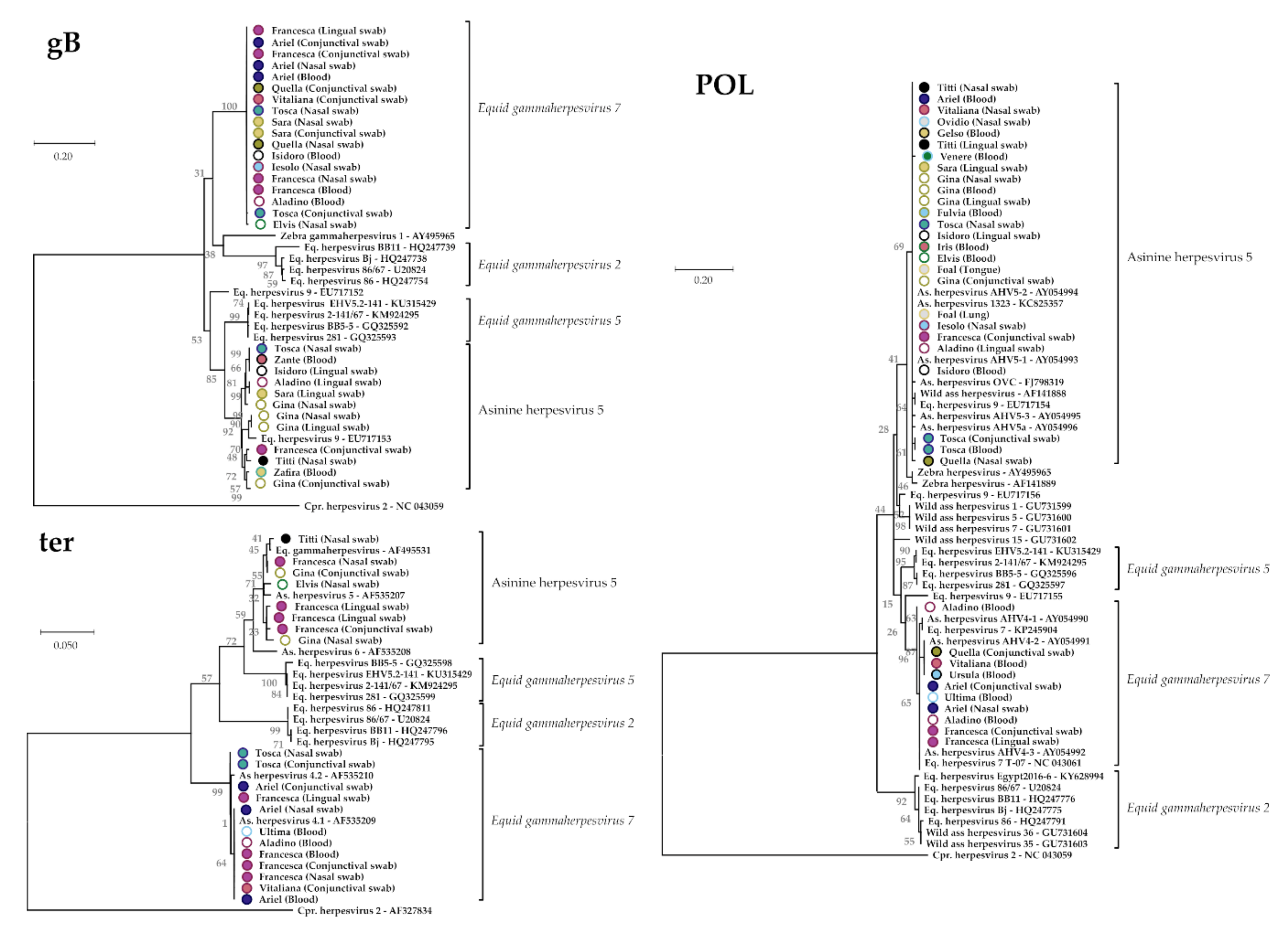 Viruses 13 01527 g003