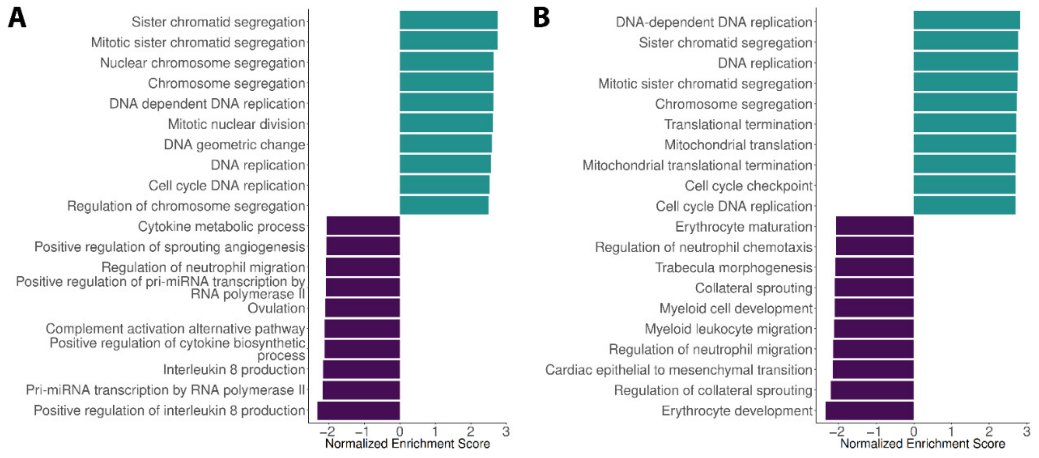 Viruses 13 01540 g002 Viruses 13 01540 g002