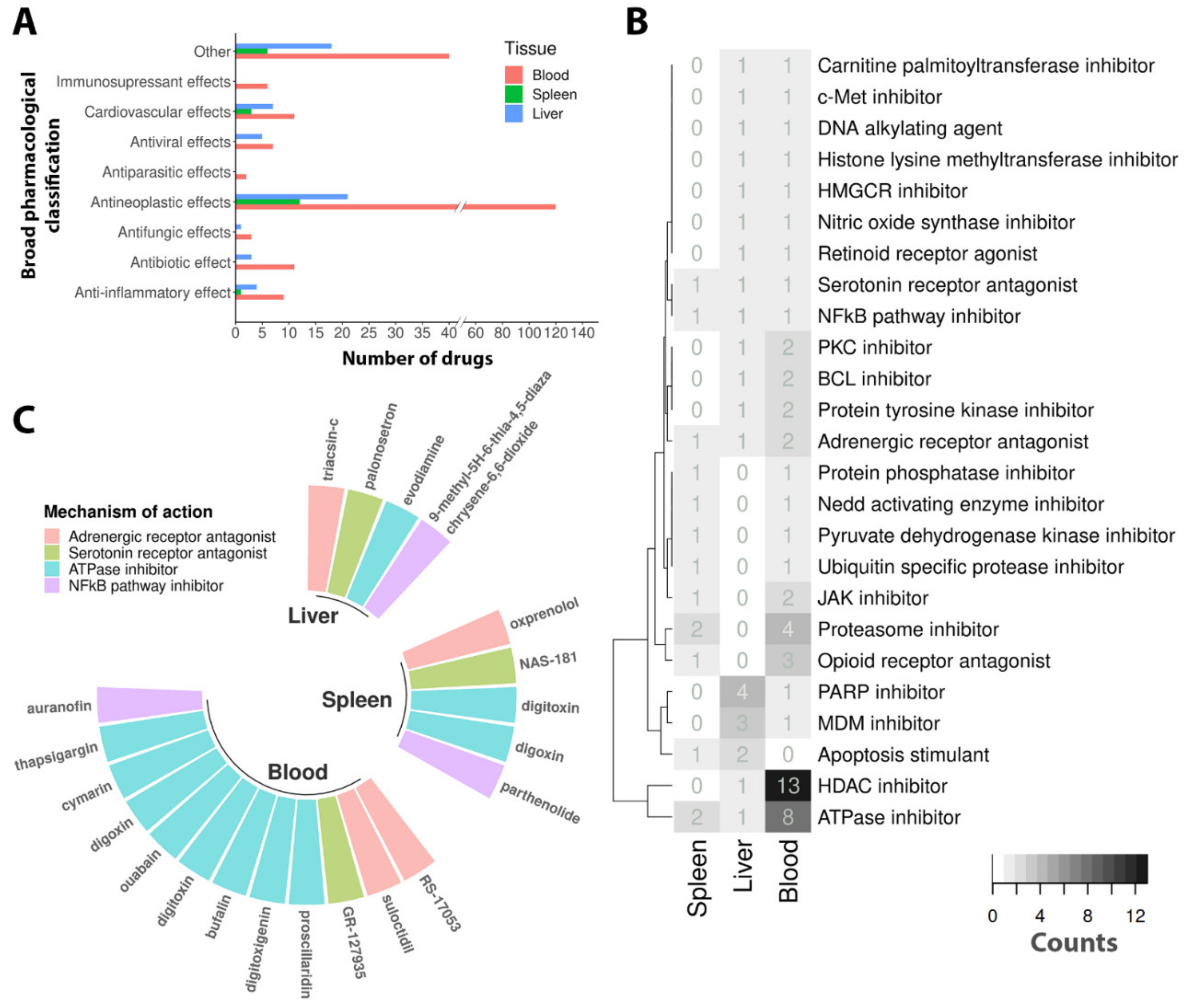 Viruses 13 01540 g003 Viruses 13 01540 g003