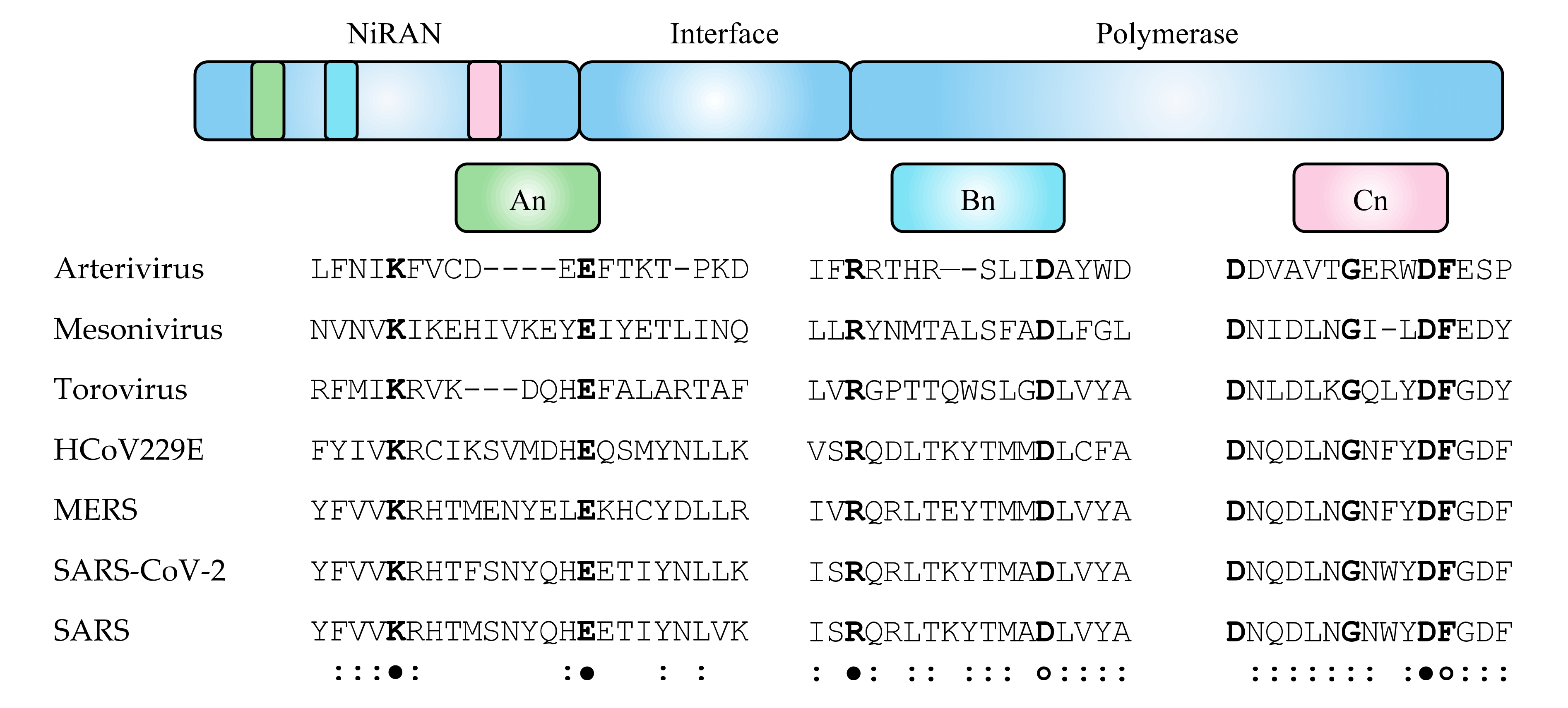 Viruses 13 01549 g003 Viruses 13 01549 g003