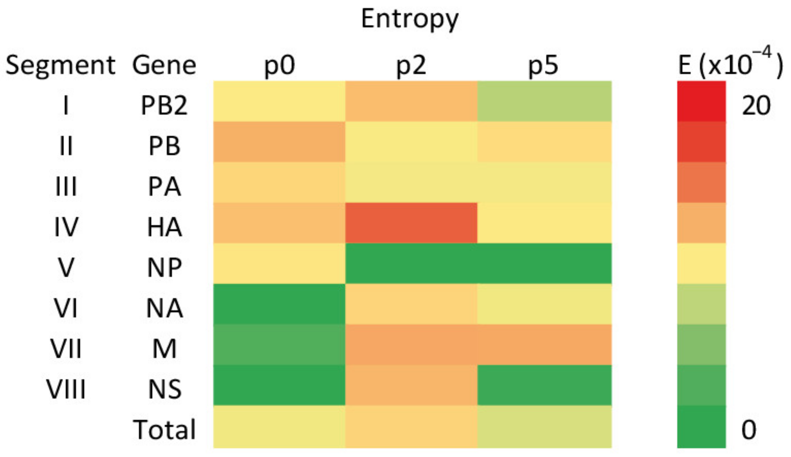 Viruses 13 01551 g003