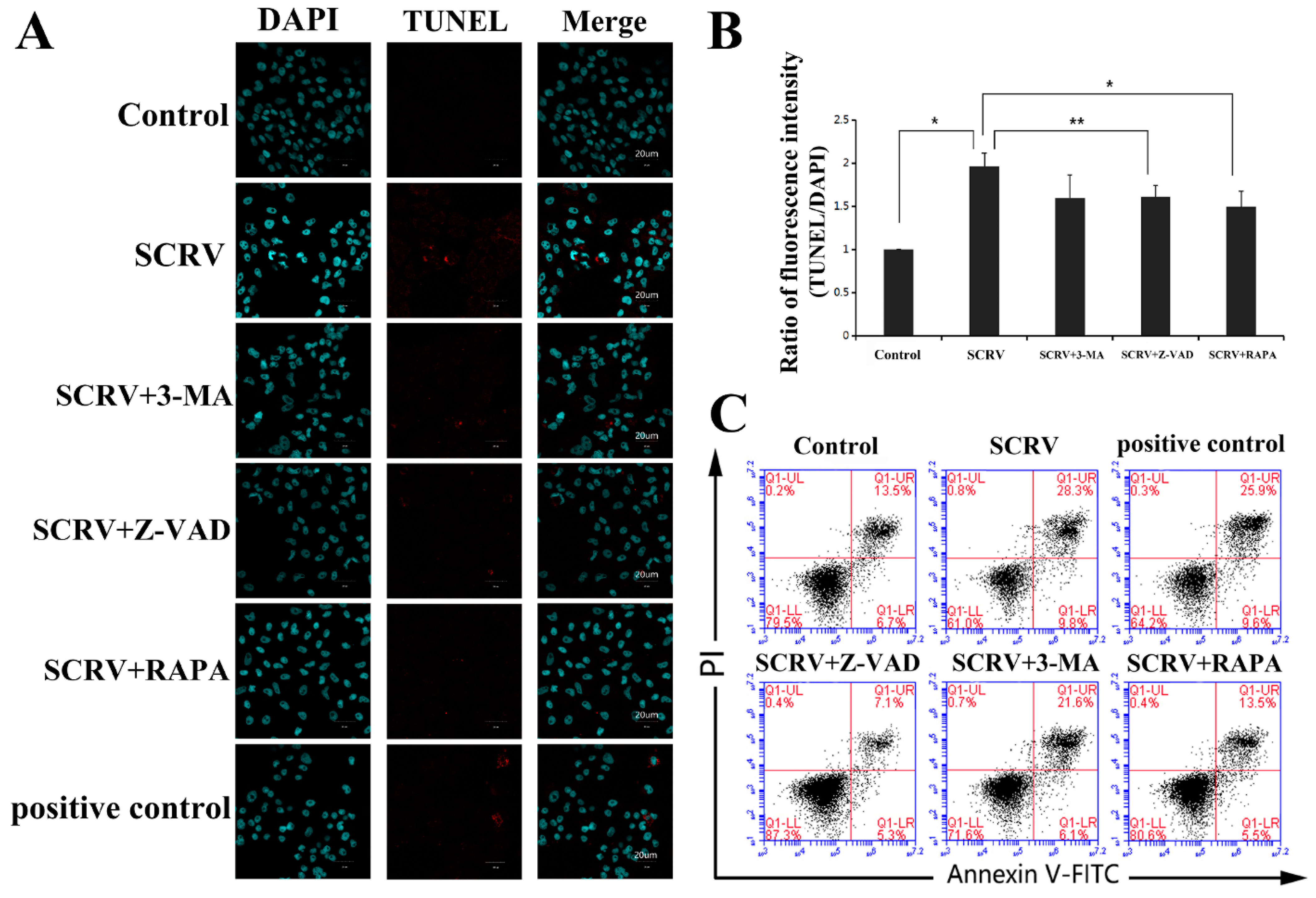 Viruses 13 01554 g002 Viruses 13 01554 g002