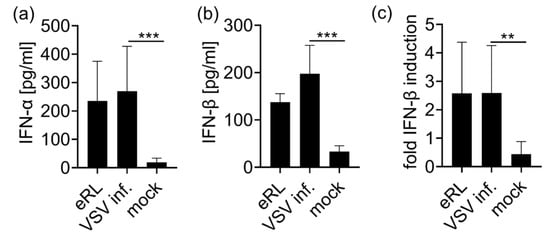 Viruses 13 01564 g0a2 550
