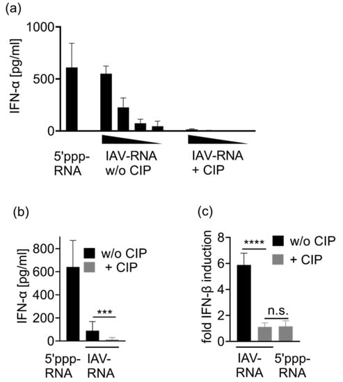 Viruses 13 01564 g0a3 550