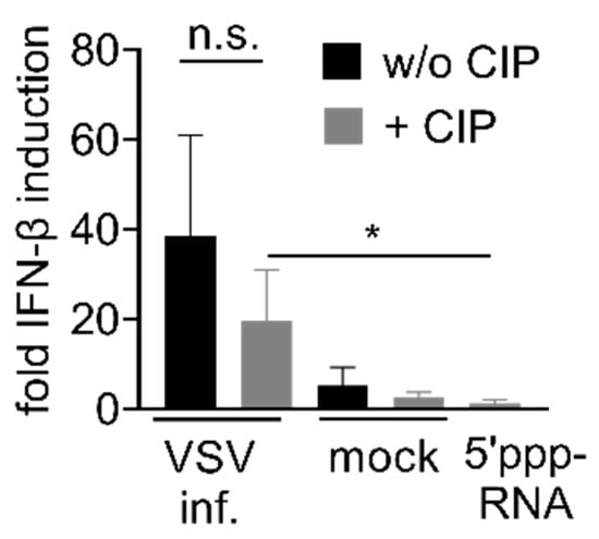 Viruses 13 01564 g0a4 550