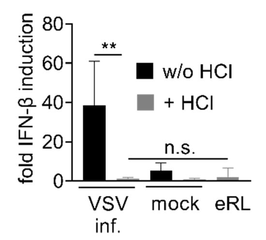 Viruses 13 01564 g0a5 550