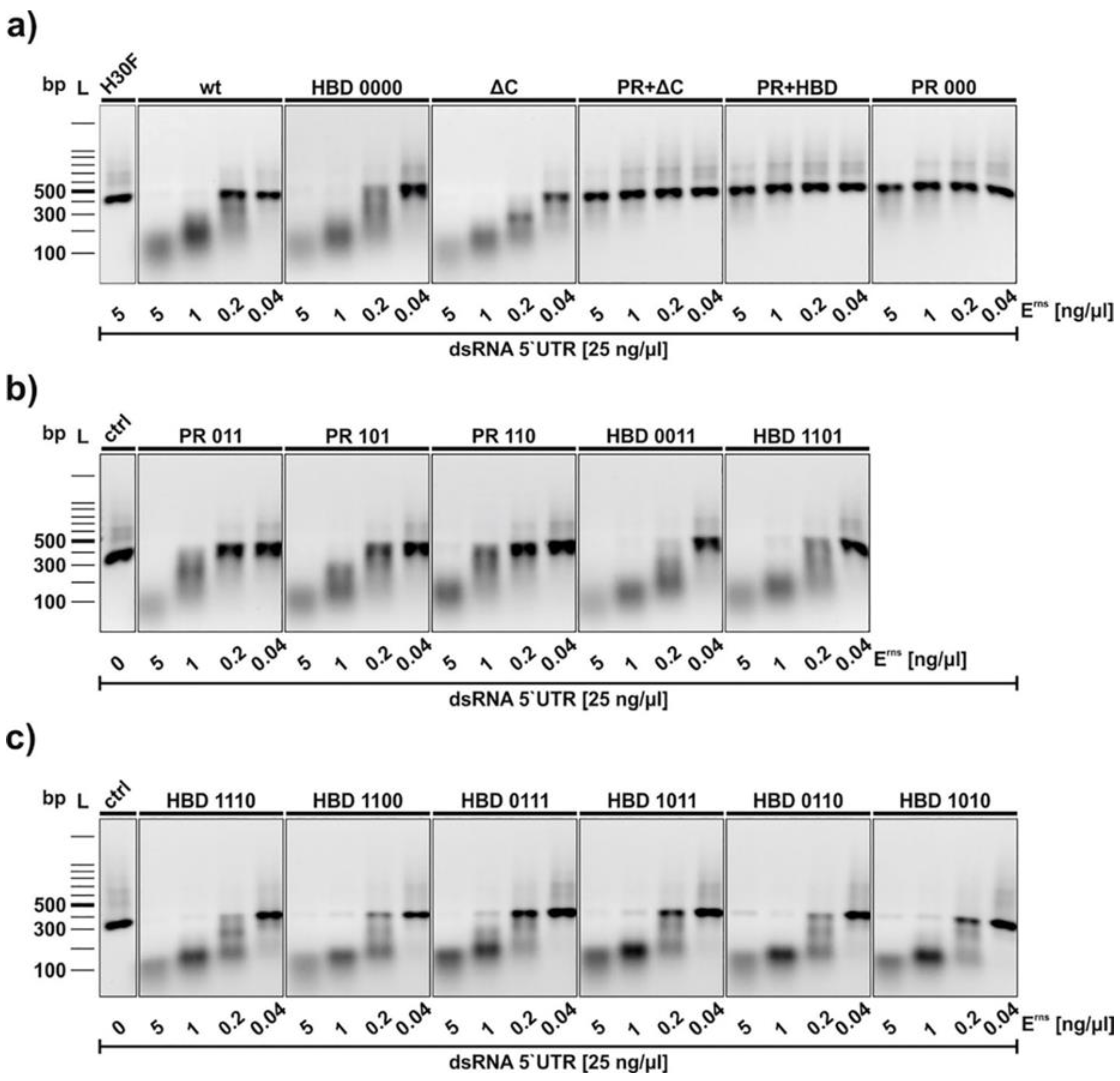 Viruses 13 01581 g003