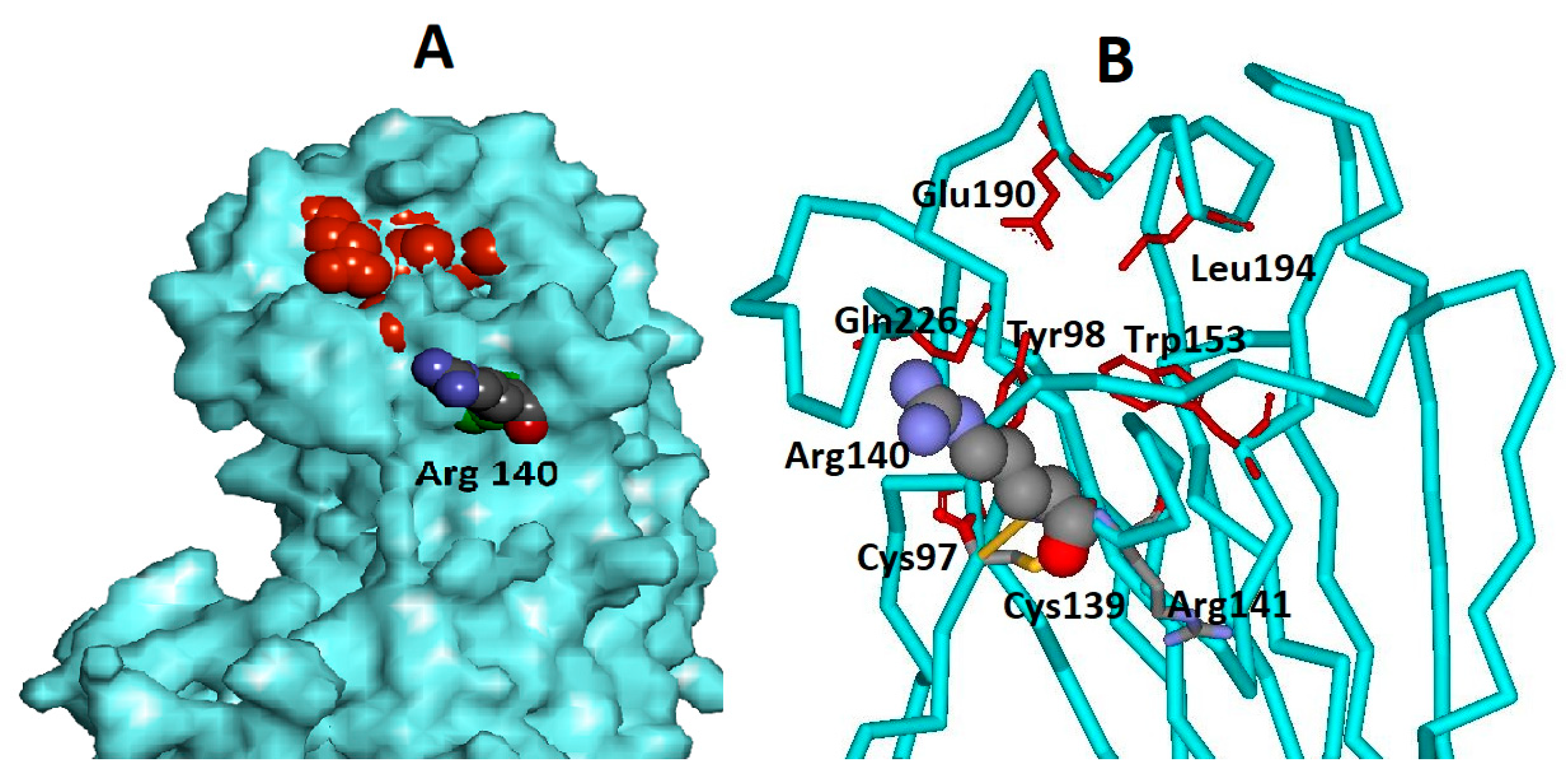 Viruses 13 01584 g001
