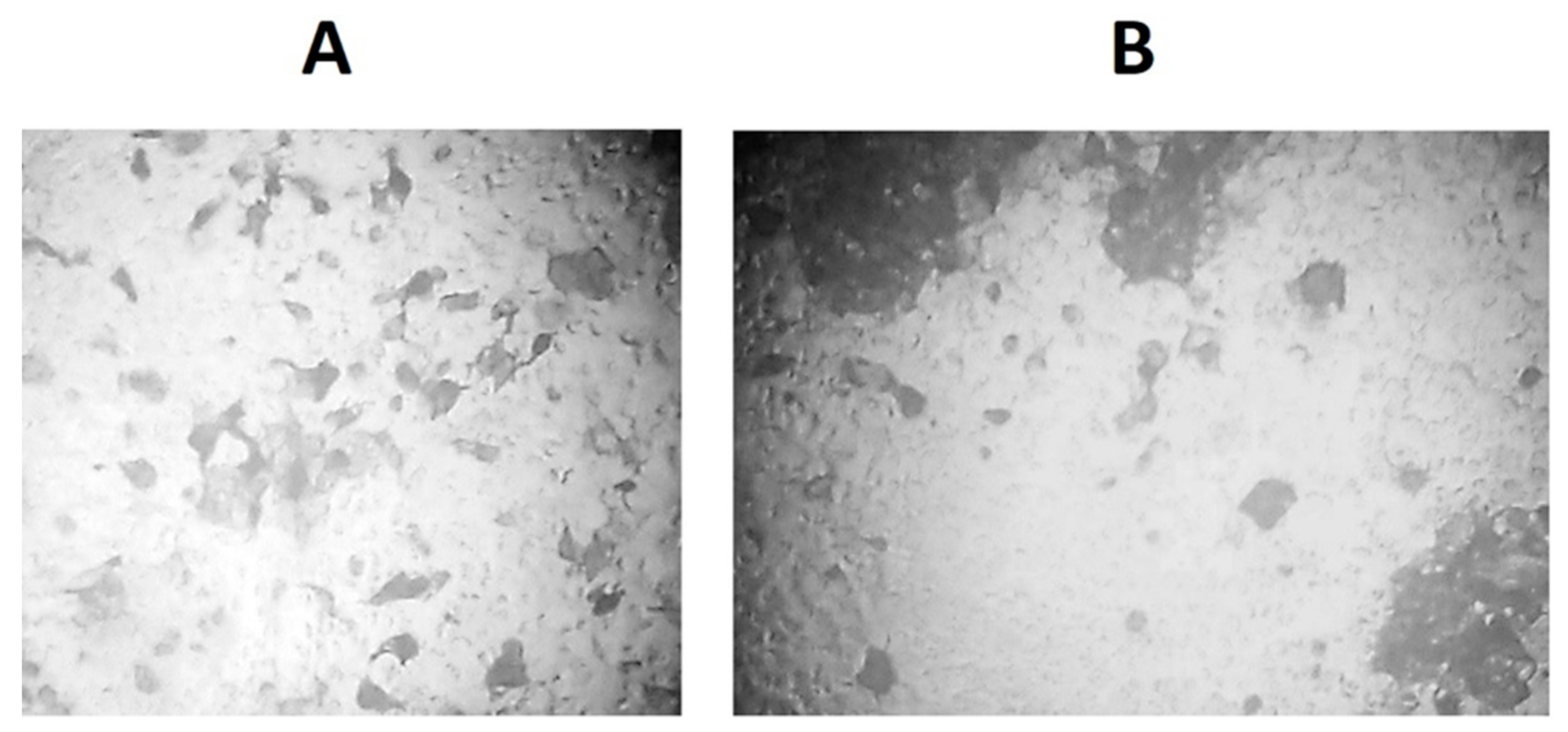 Viruses 13 01584 g007