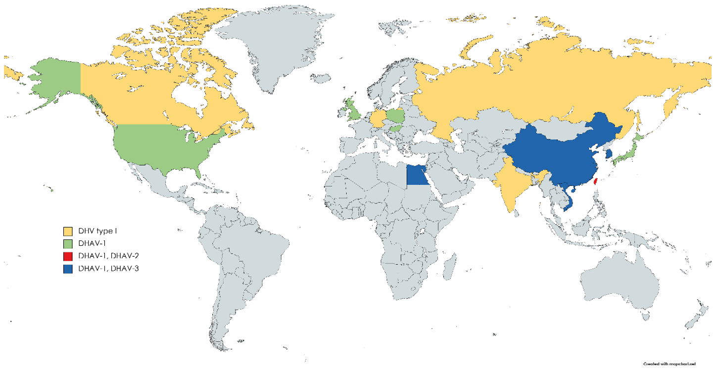 Viruses 13 01592 g001 Viruses 13 01592 g001