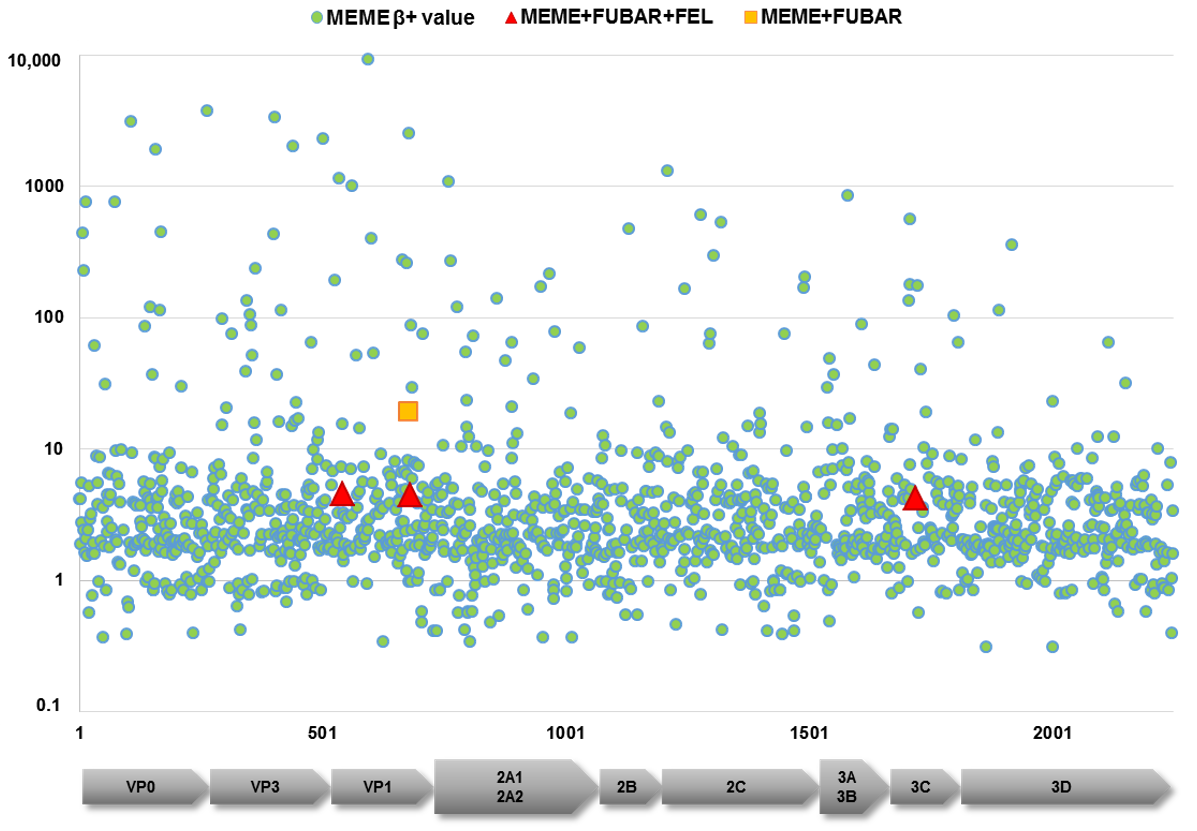 Viruses 13 01592 g003 Viruses 13 01592 g003