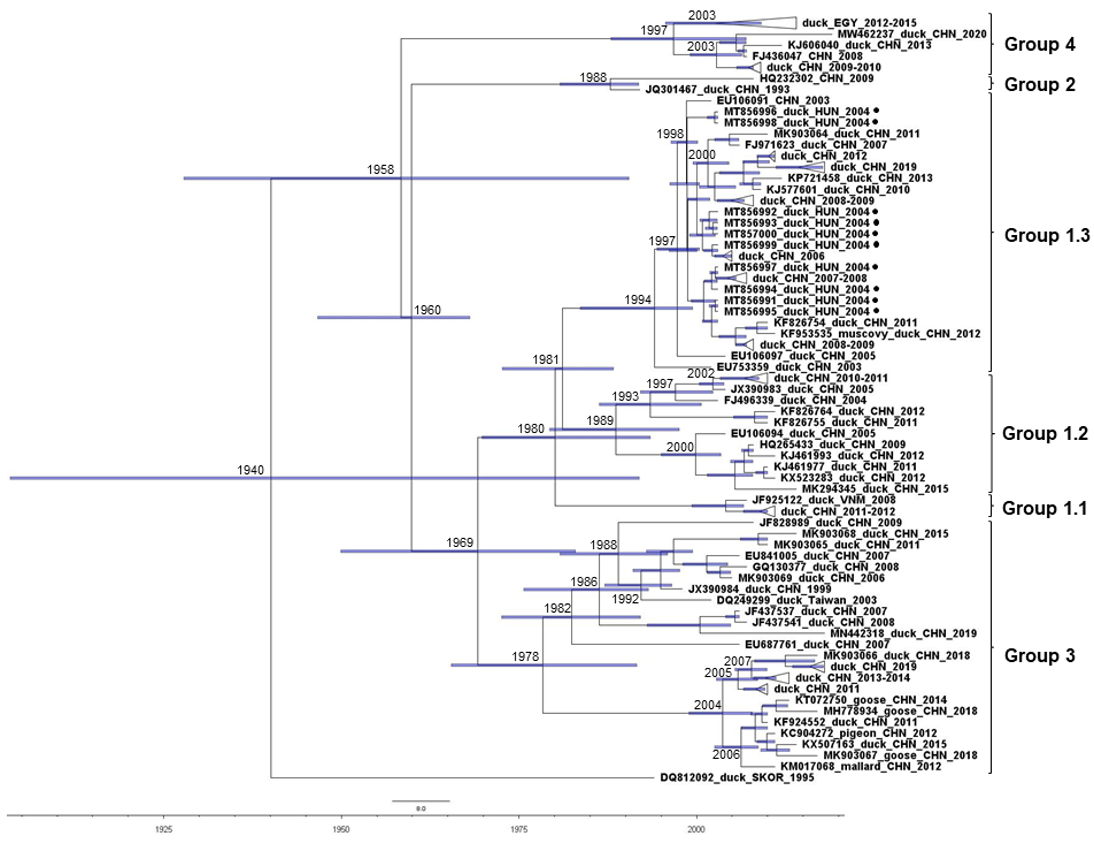 Viruses 13 01592 g004 Viruses 13 01592 g004