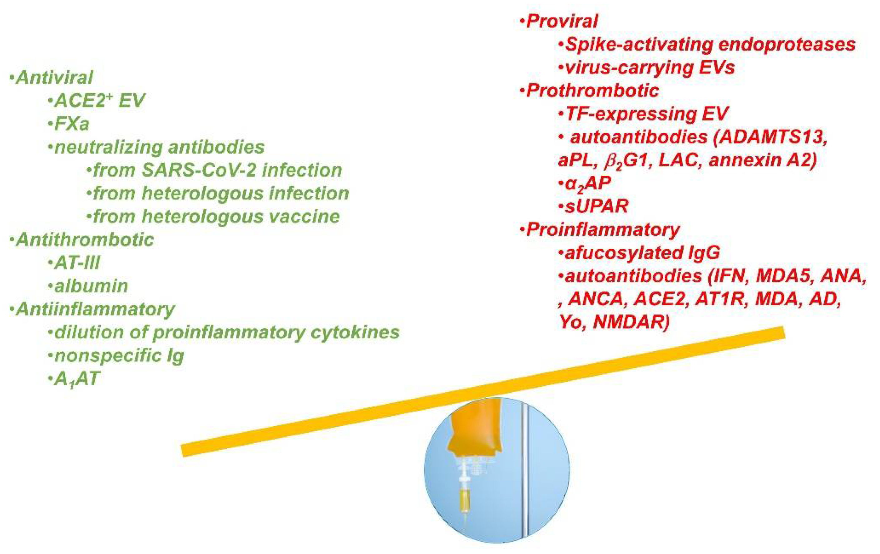 Viruses 13 01594 g001