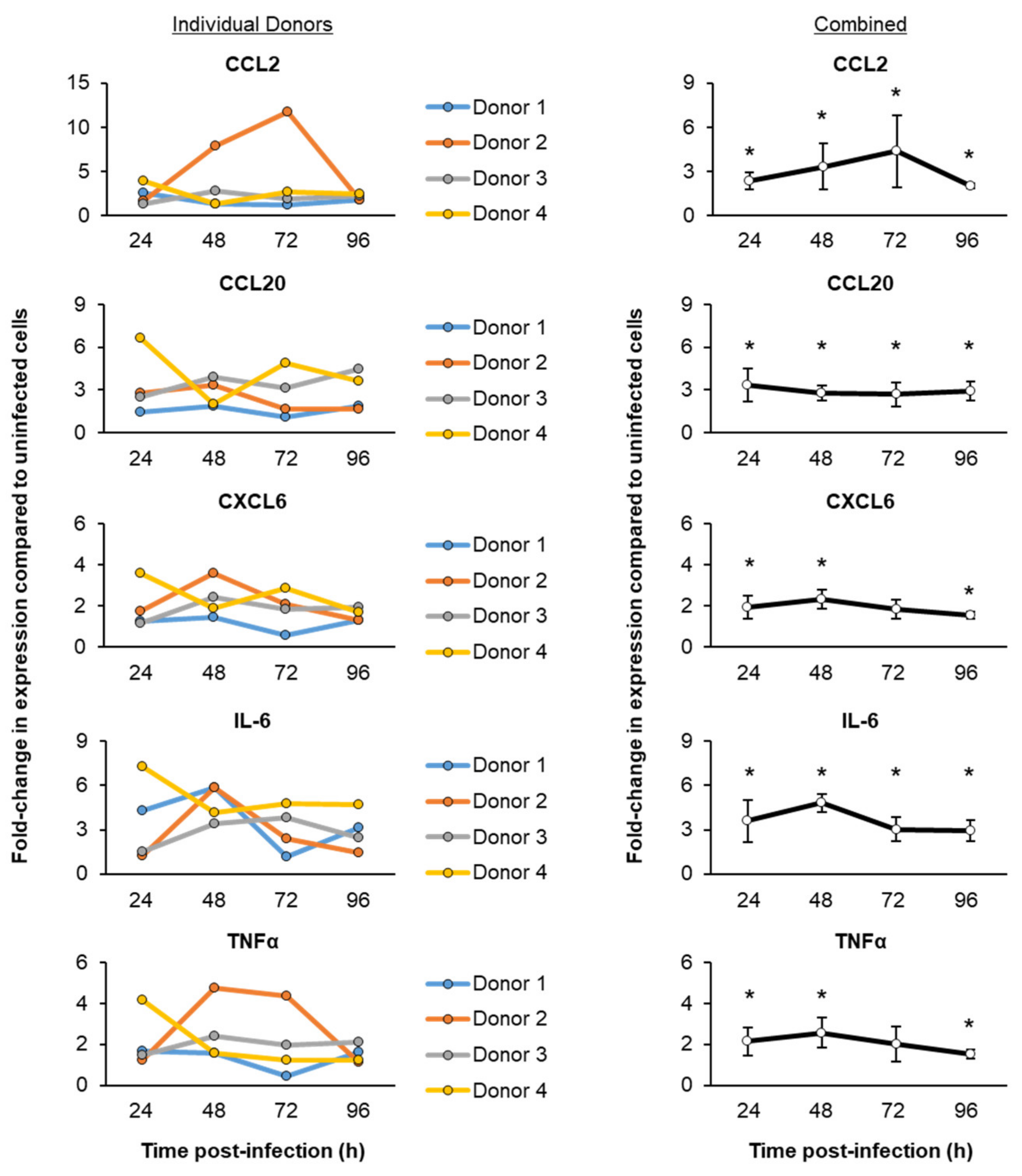 Viruses 13 01603 g002