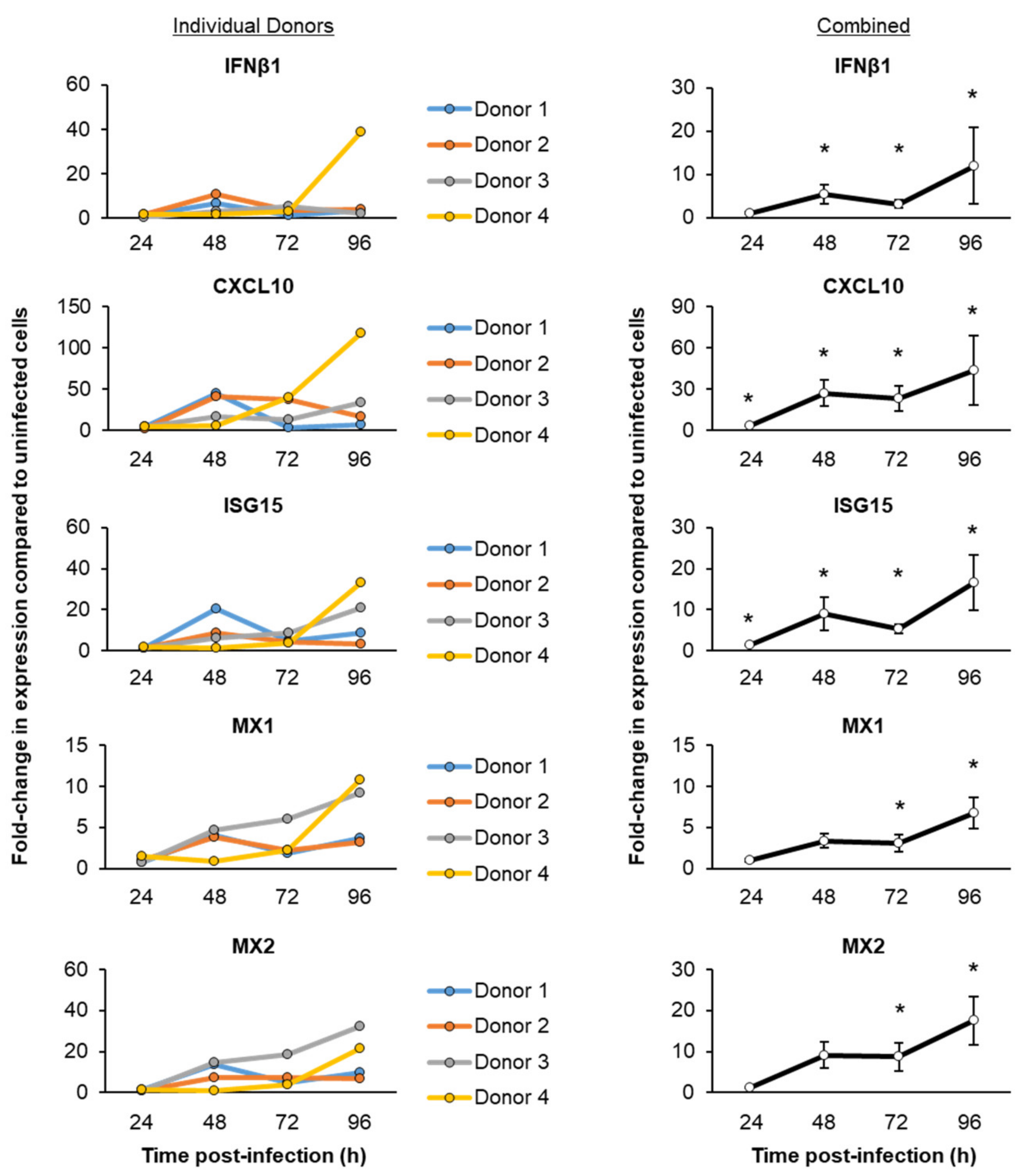 Viruses 13 01603 g003