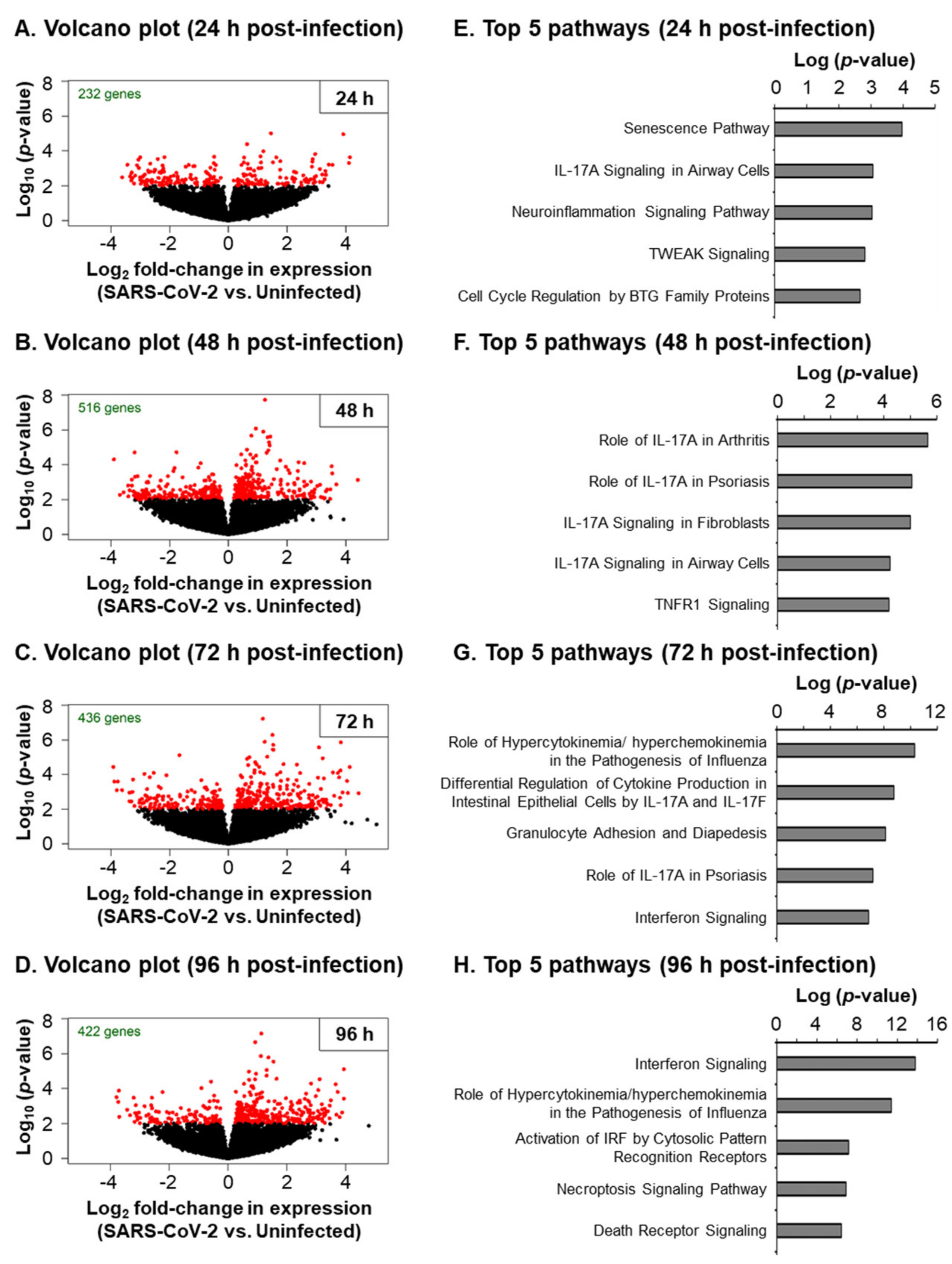Viruses 13 01603 g004