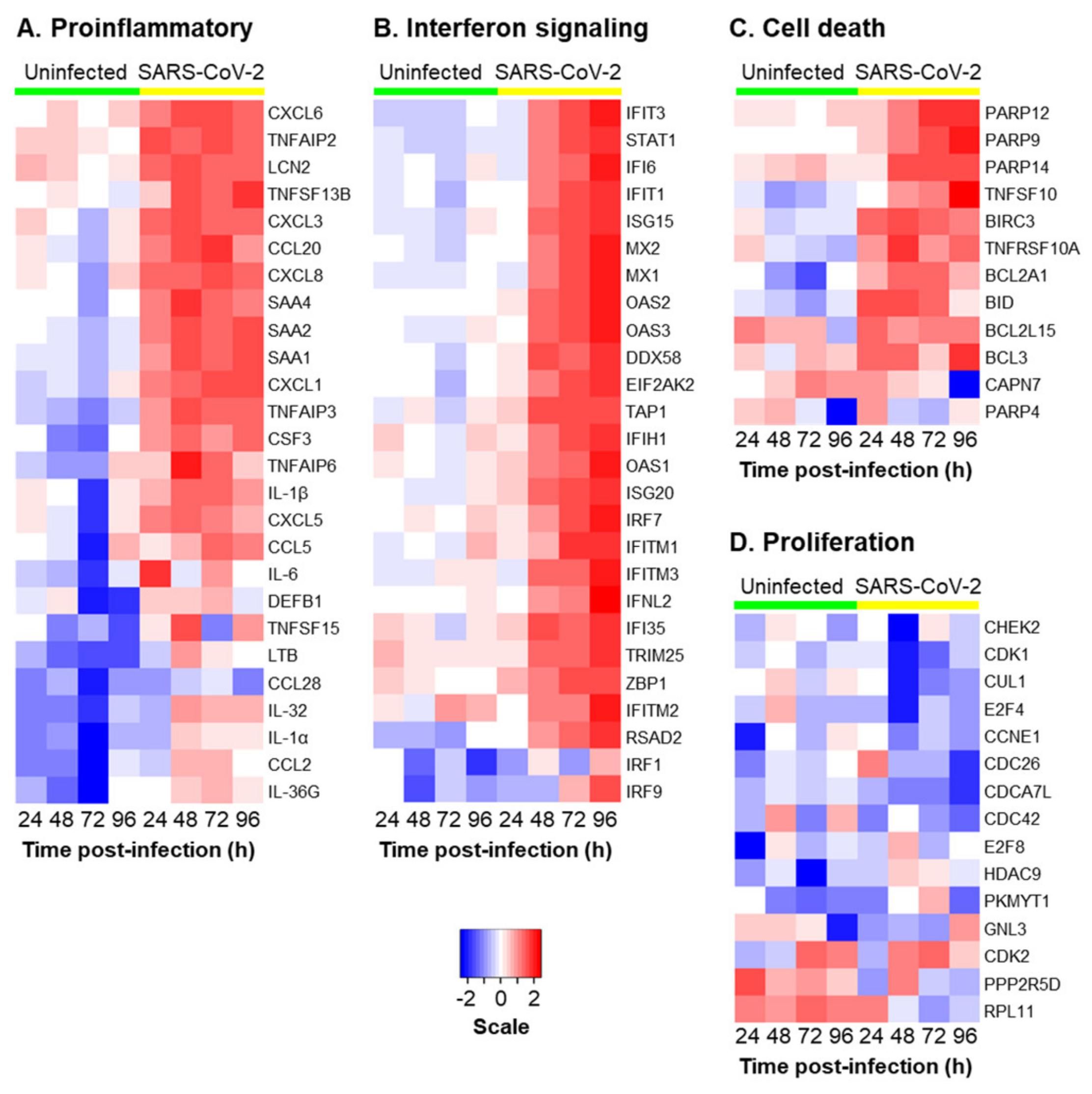 Viruses 13 01603 g005