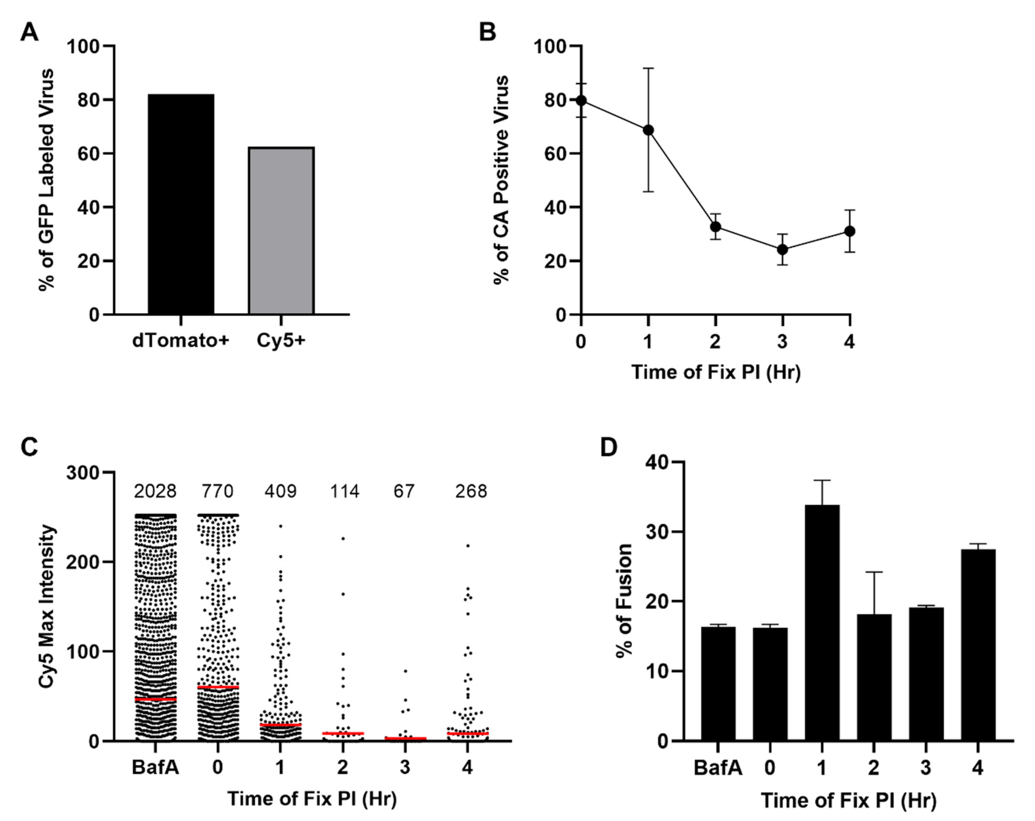 Viruses 13 01604 g005