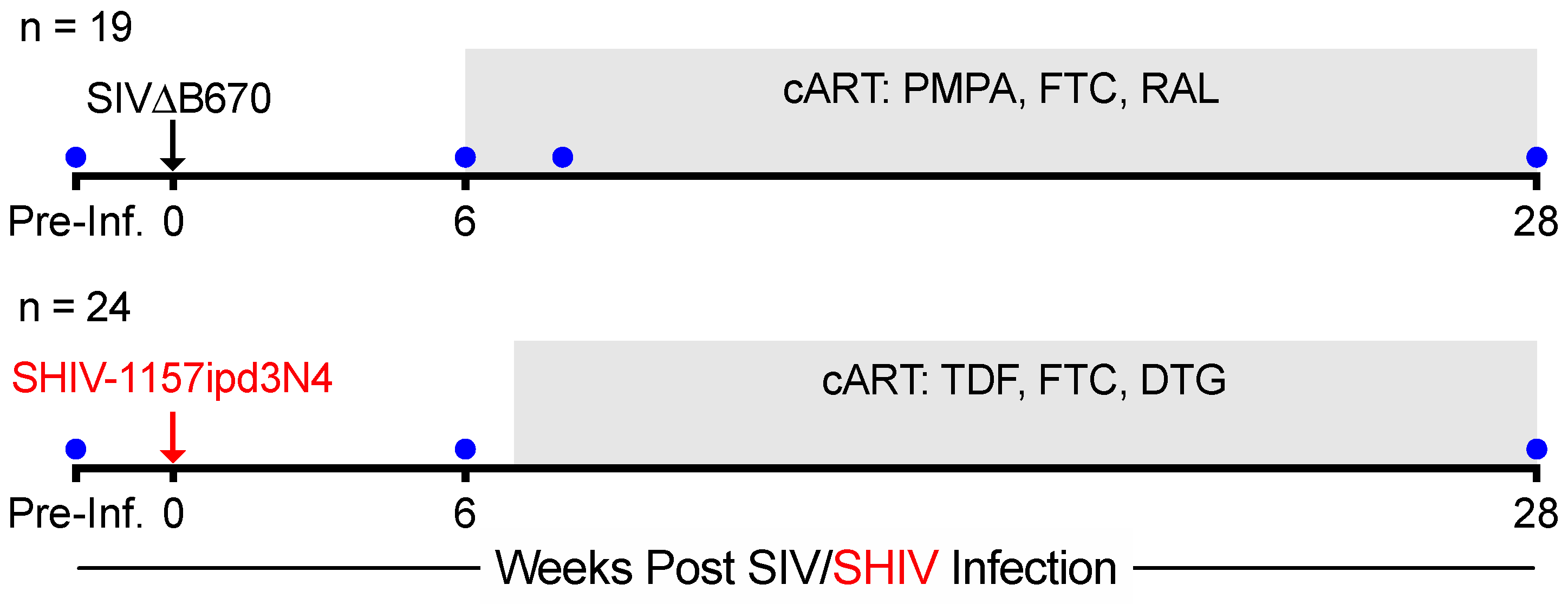 Viruses 13 01609 g001