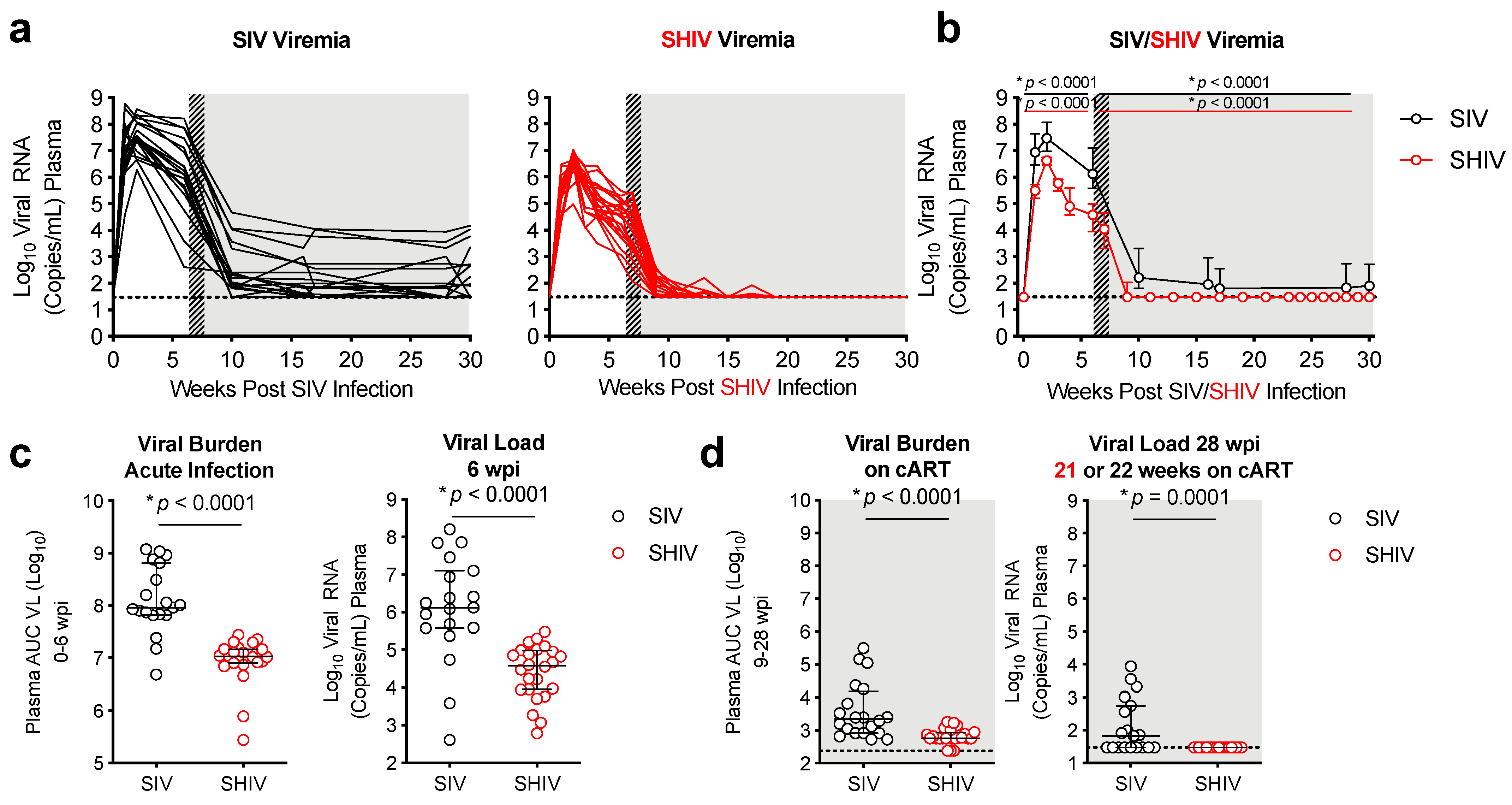 Viruses 13 01609 g002