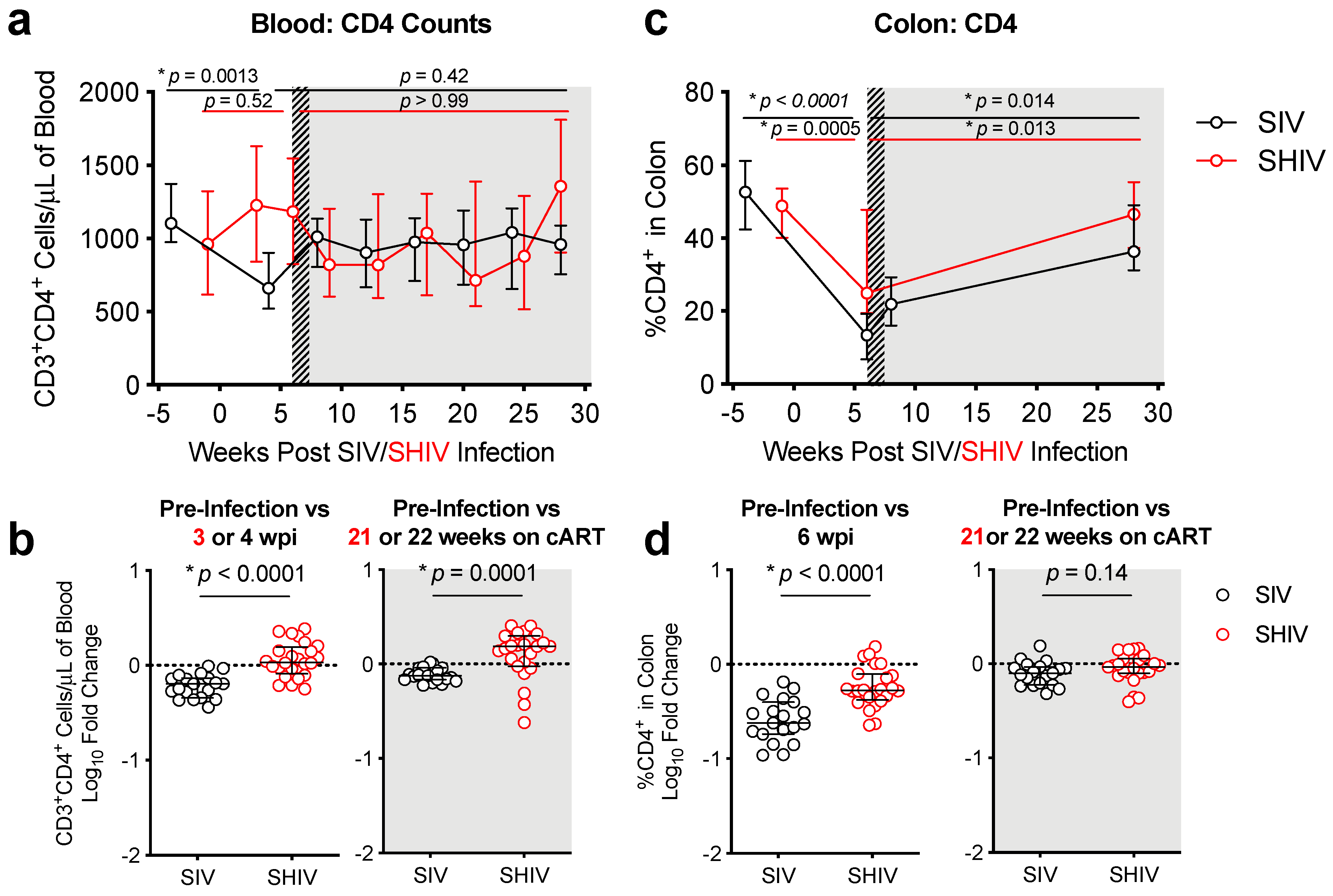 Viruses 13 01609 g003