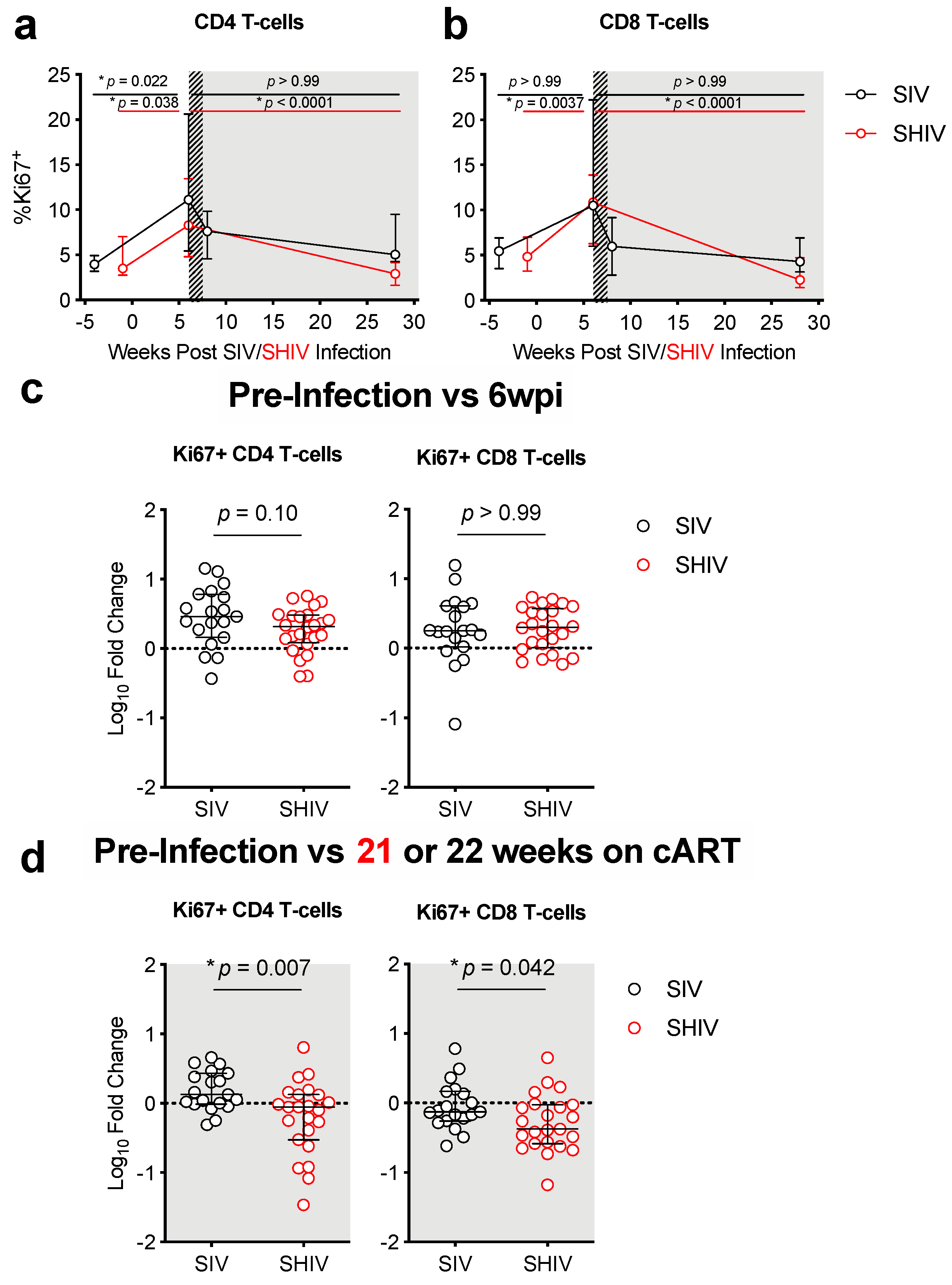 Viruses 13 01609 g005
