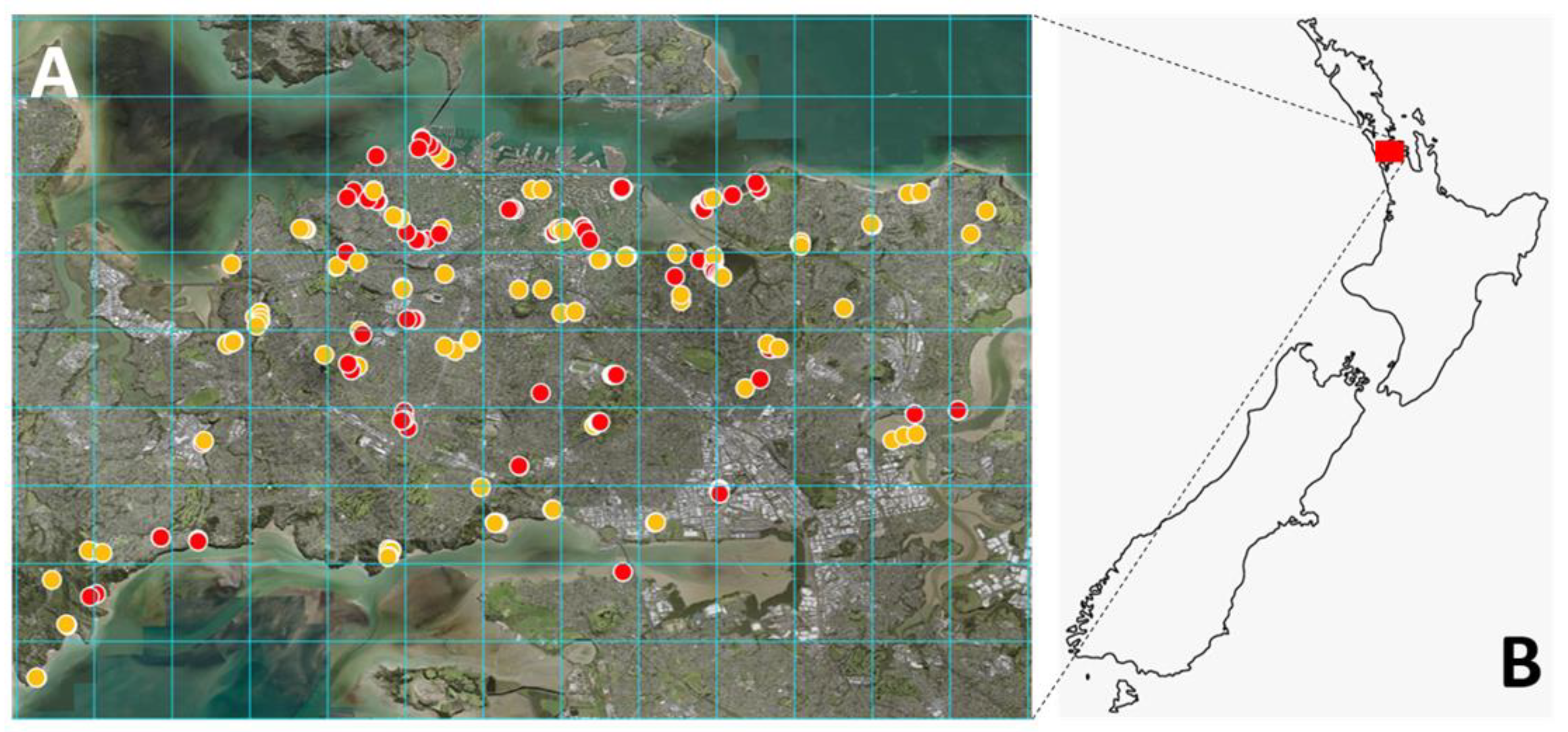 Viruses 13 01611 g004