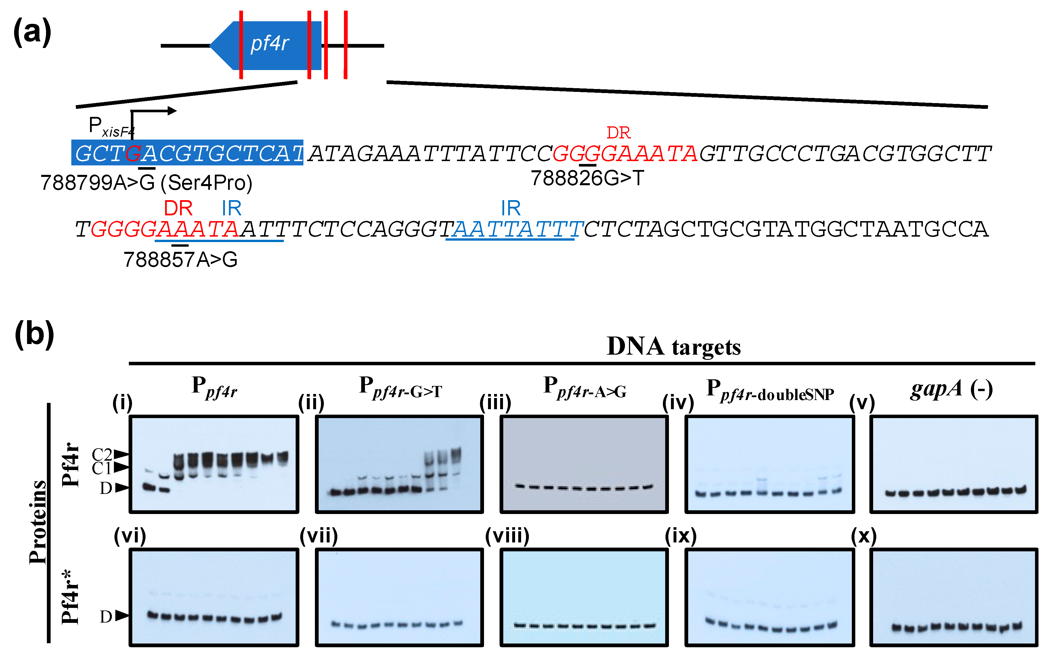Viruses 13 01614 g005 Viruses 13 01614 g005