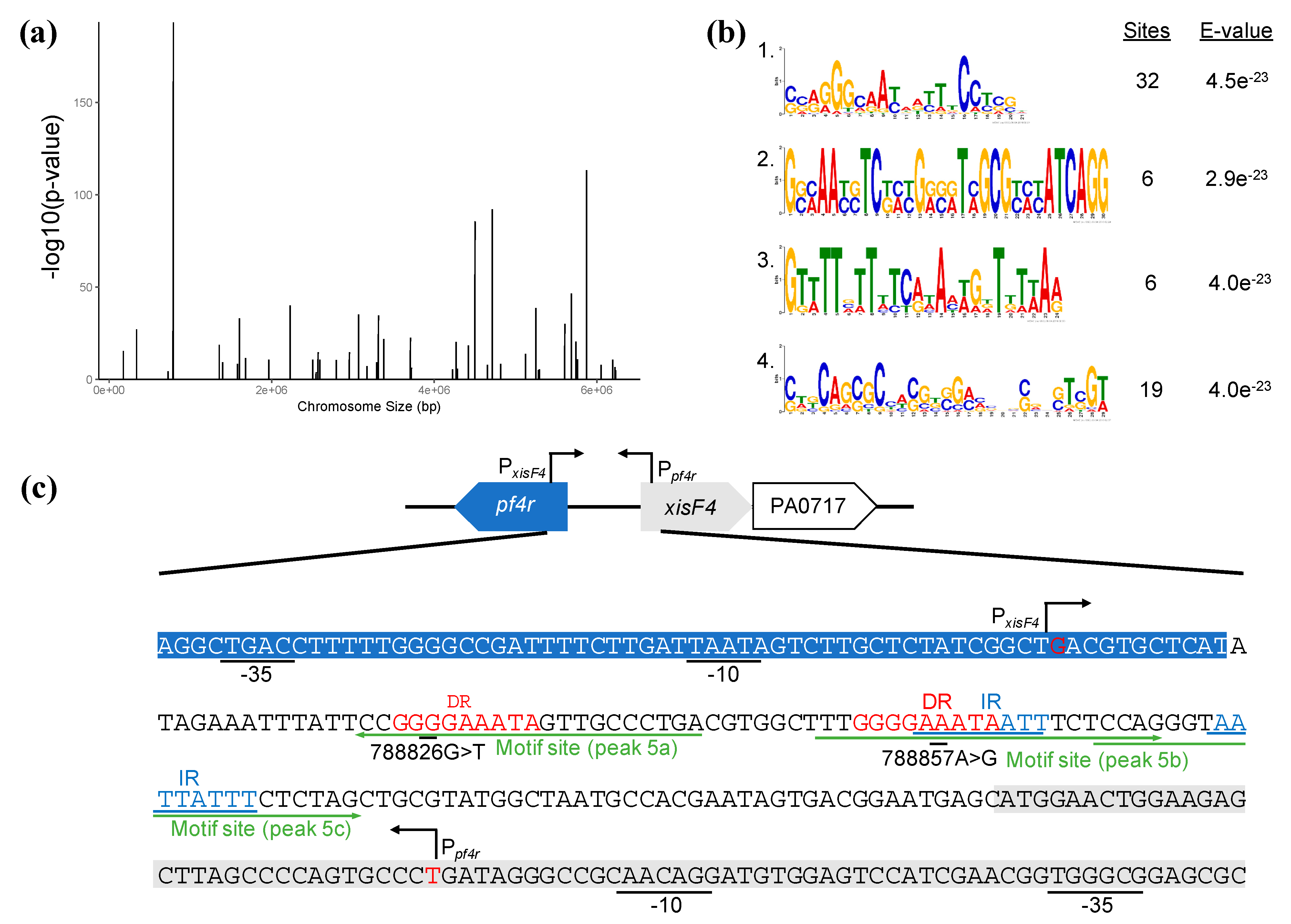 Viruses 13 01614 g007 Viruses 13 01614 g007