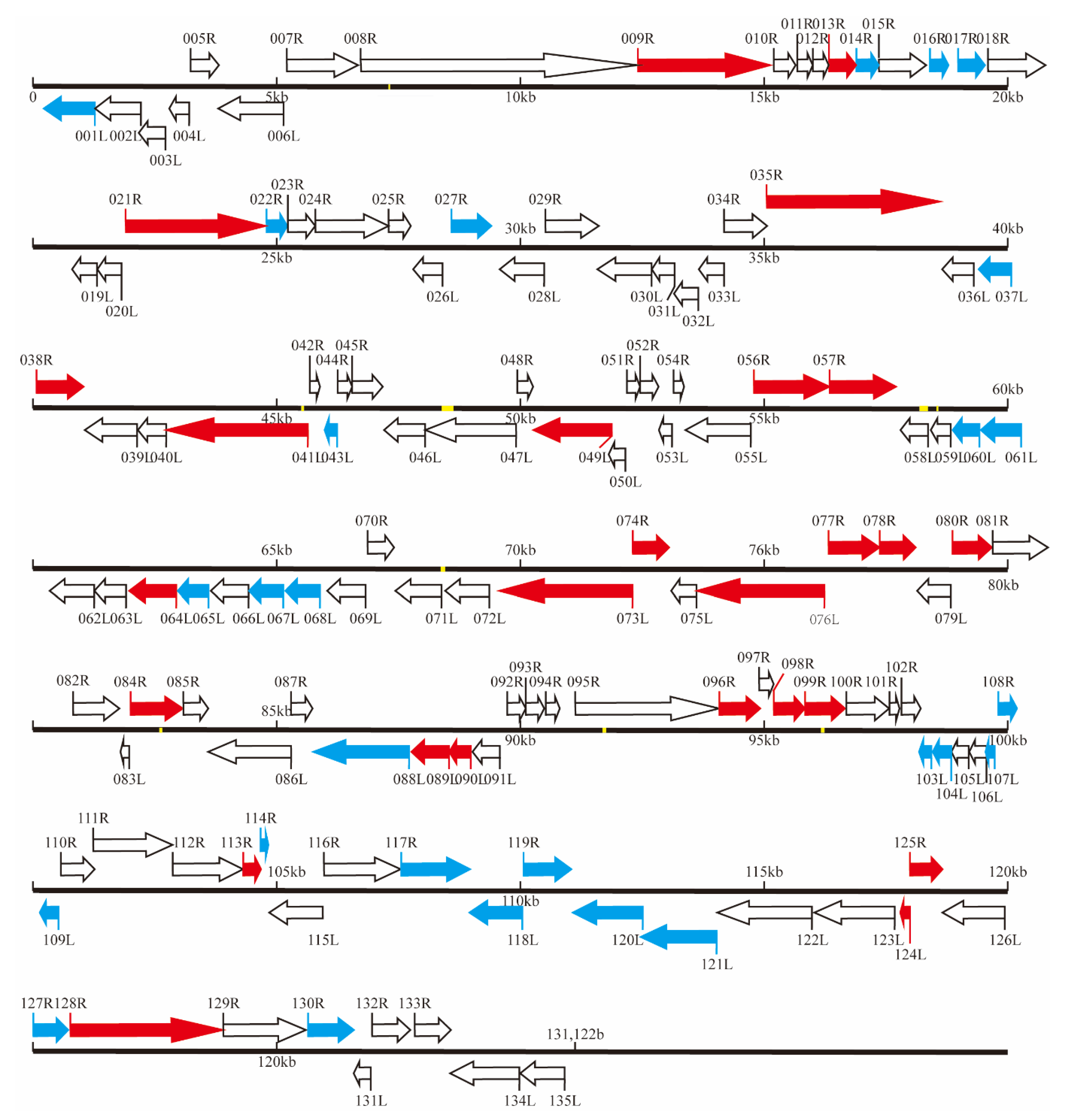 Viruses 13 01617 g004
